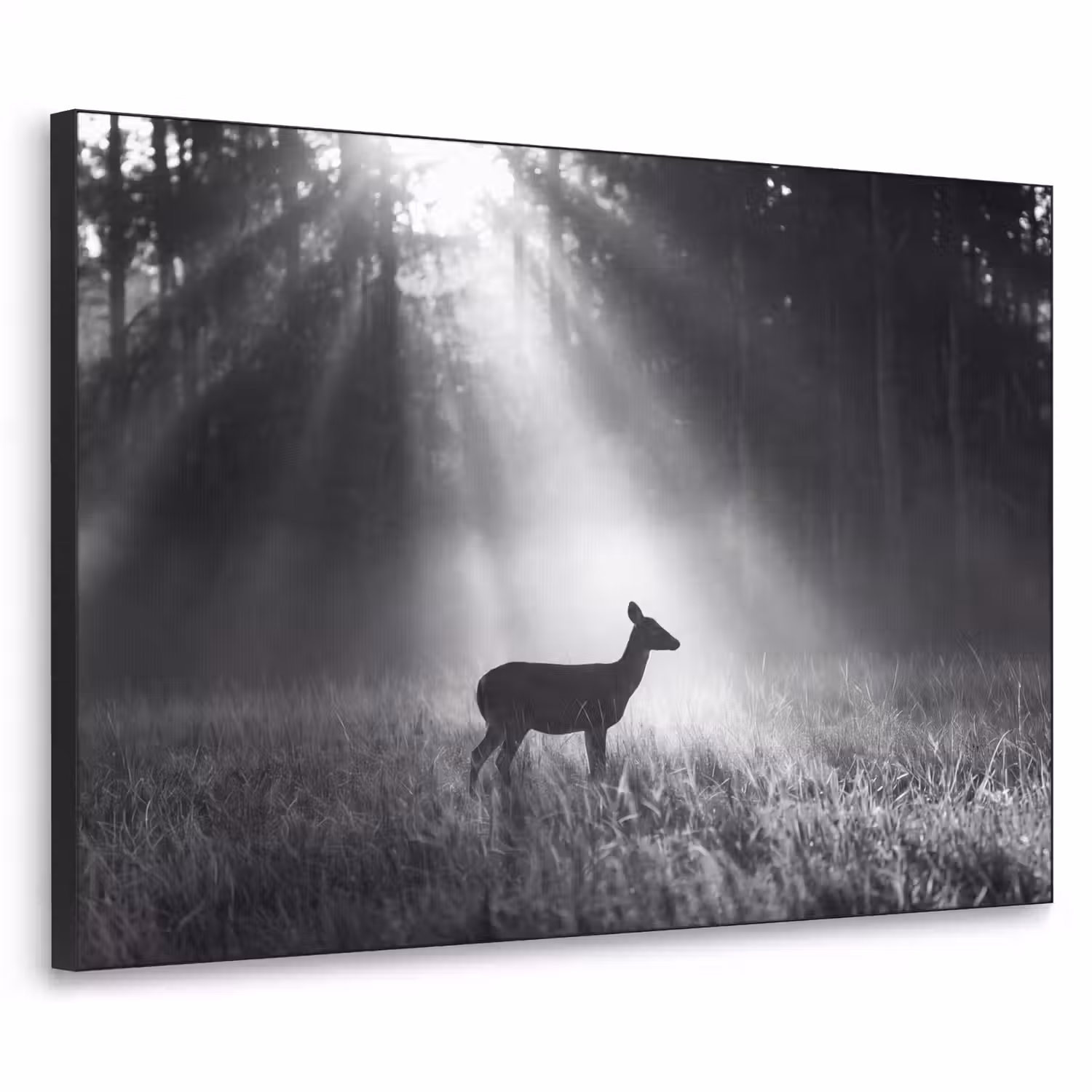 Hert - Bos - Zonnestralen - Zwart-wit - Natuur Textielframe zwart klein -3d