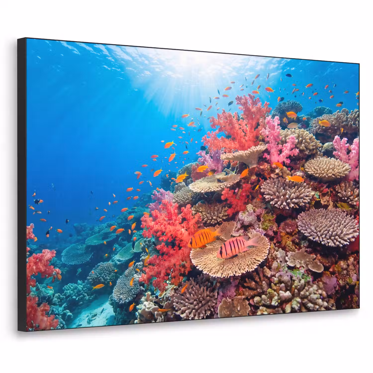 Koraalrif - Vissen - Onderwater - Tropisch - Rood Textielframe zwart klein -3d