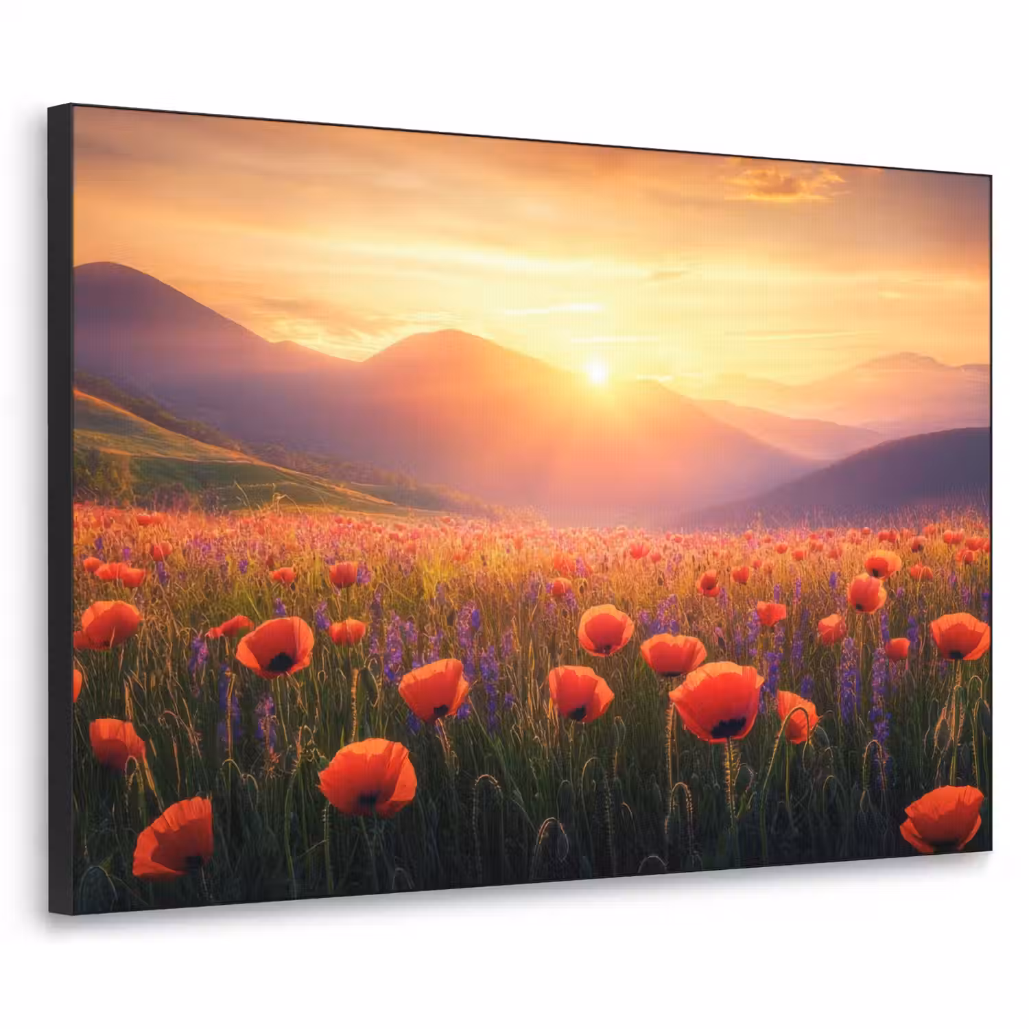 Landschap - Zonsondergang - Bloemenveld Textielframe - compleet frame klein -3d