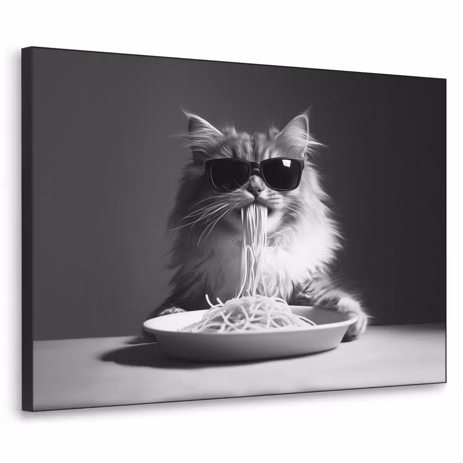 Langharige kat - Zonnebril - Spaghetti - Humor - Zwart - wit Textielframe - compleet frame klein -3d