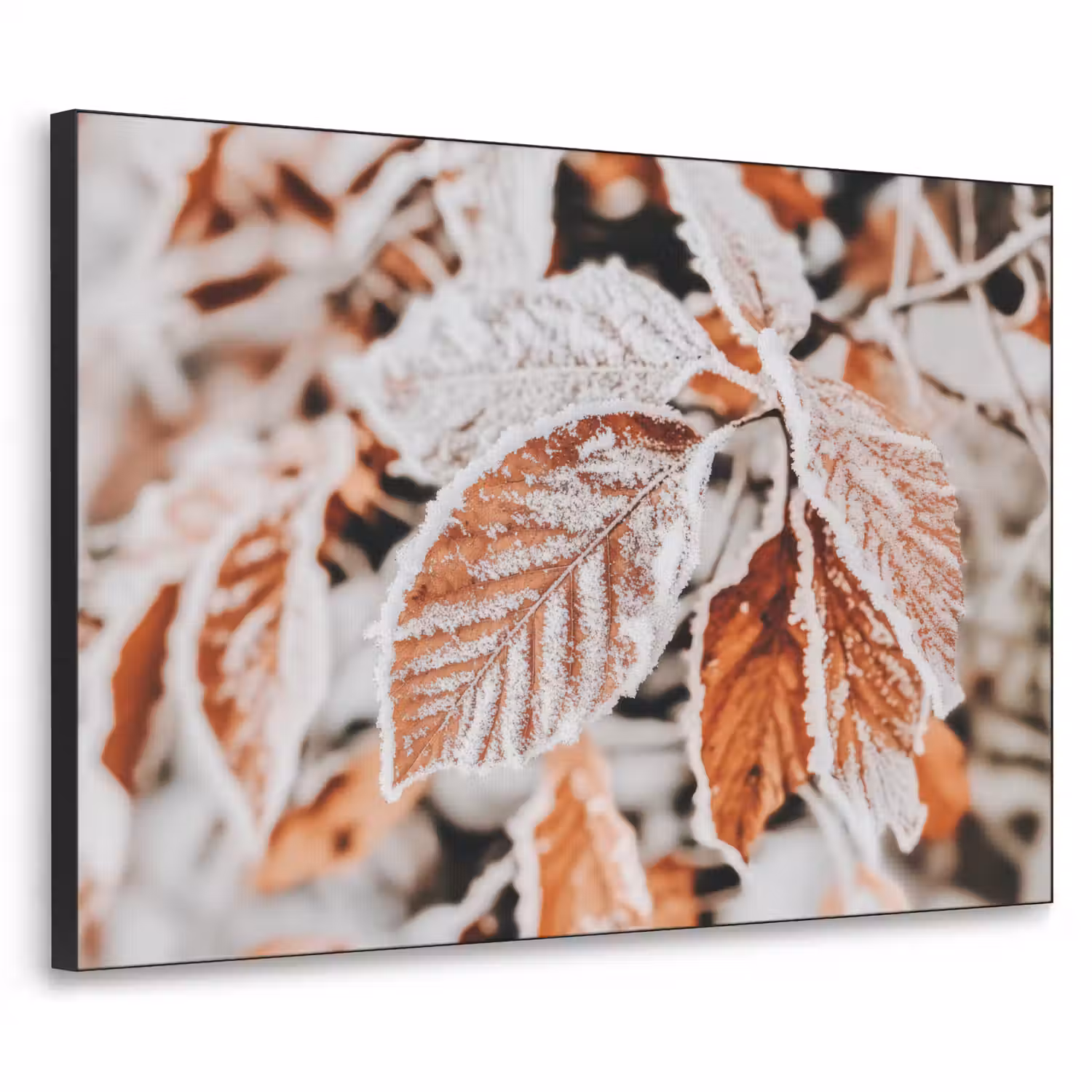 Bladeren - IJs - Winter - Natuur Textielframe - compleet frame klein -3d