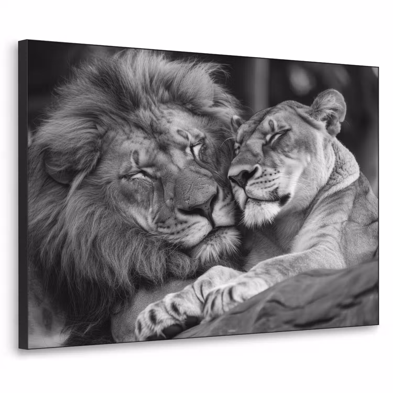 Leeuwen - Dieren - Zwart - Wit - Leeuw Textielframe - compleet frame klein -3d