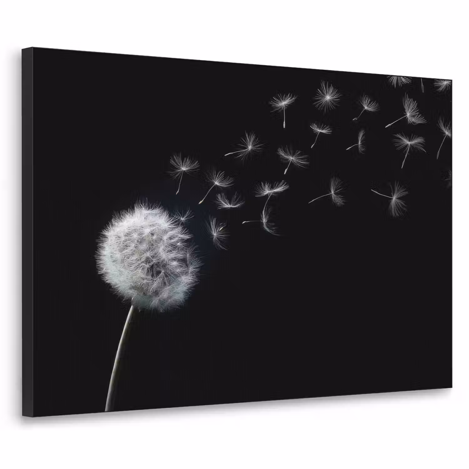 Paardenbloem - Zwart - Natuur Textielframe - compleet frame klein -3d