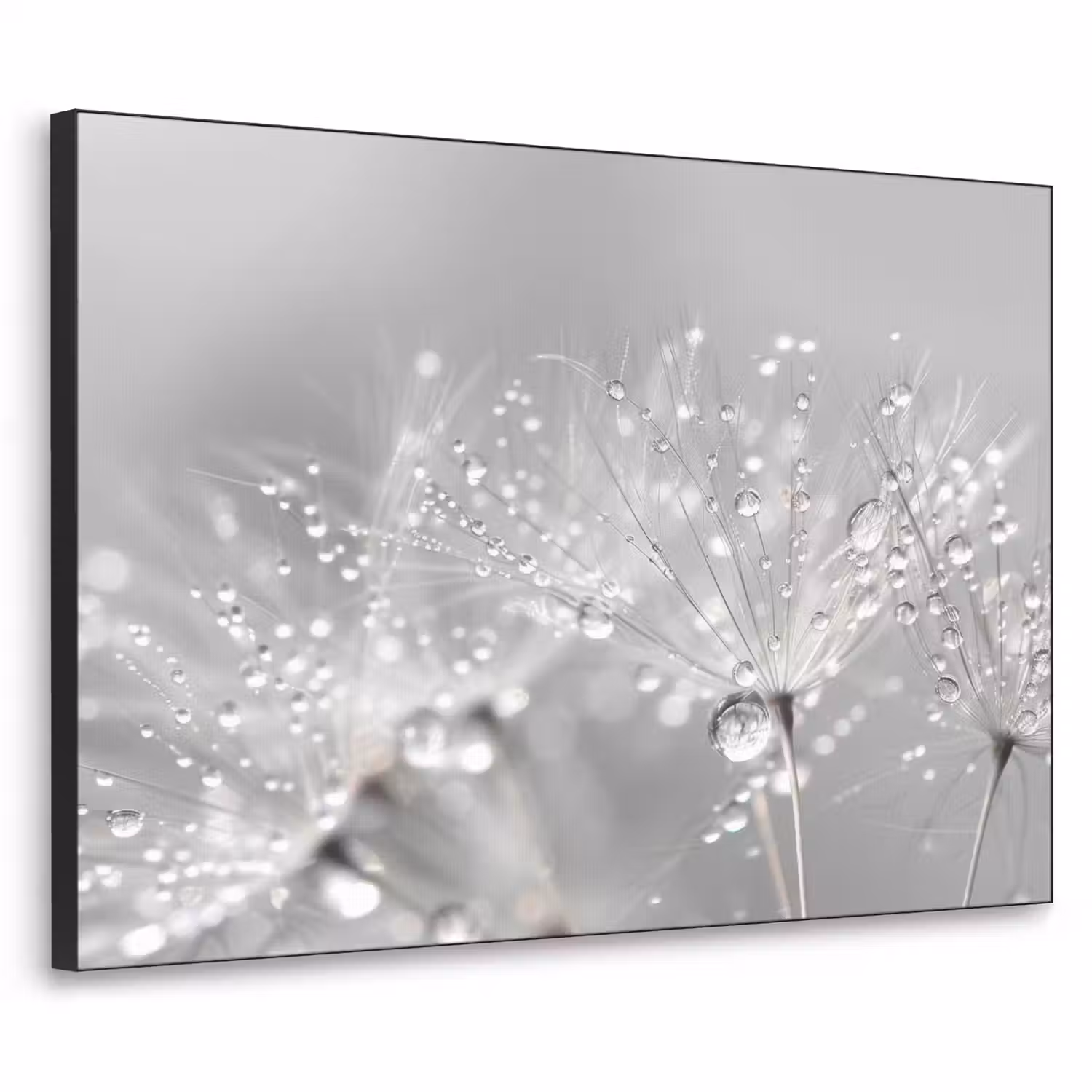 Paardenbloem - Waterdruppels - Stilleven - Modern Textielframe - compleet frame klein -3d