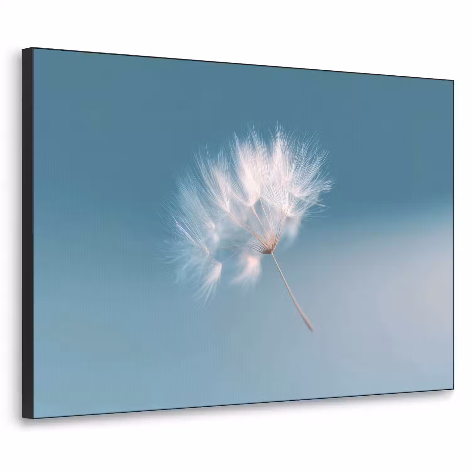 Paardenbloempluisje - Blauw - Lucht Textielframe - compleet frame klein -3d