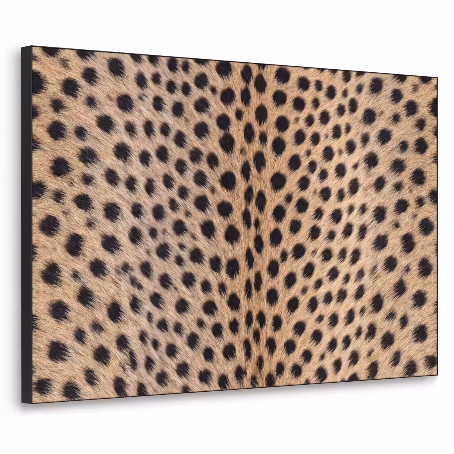 Vacht - Jachtluipaard - Zwart - Wit Textielframe zwart klein -3d