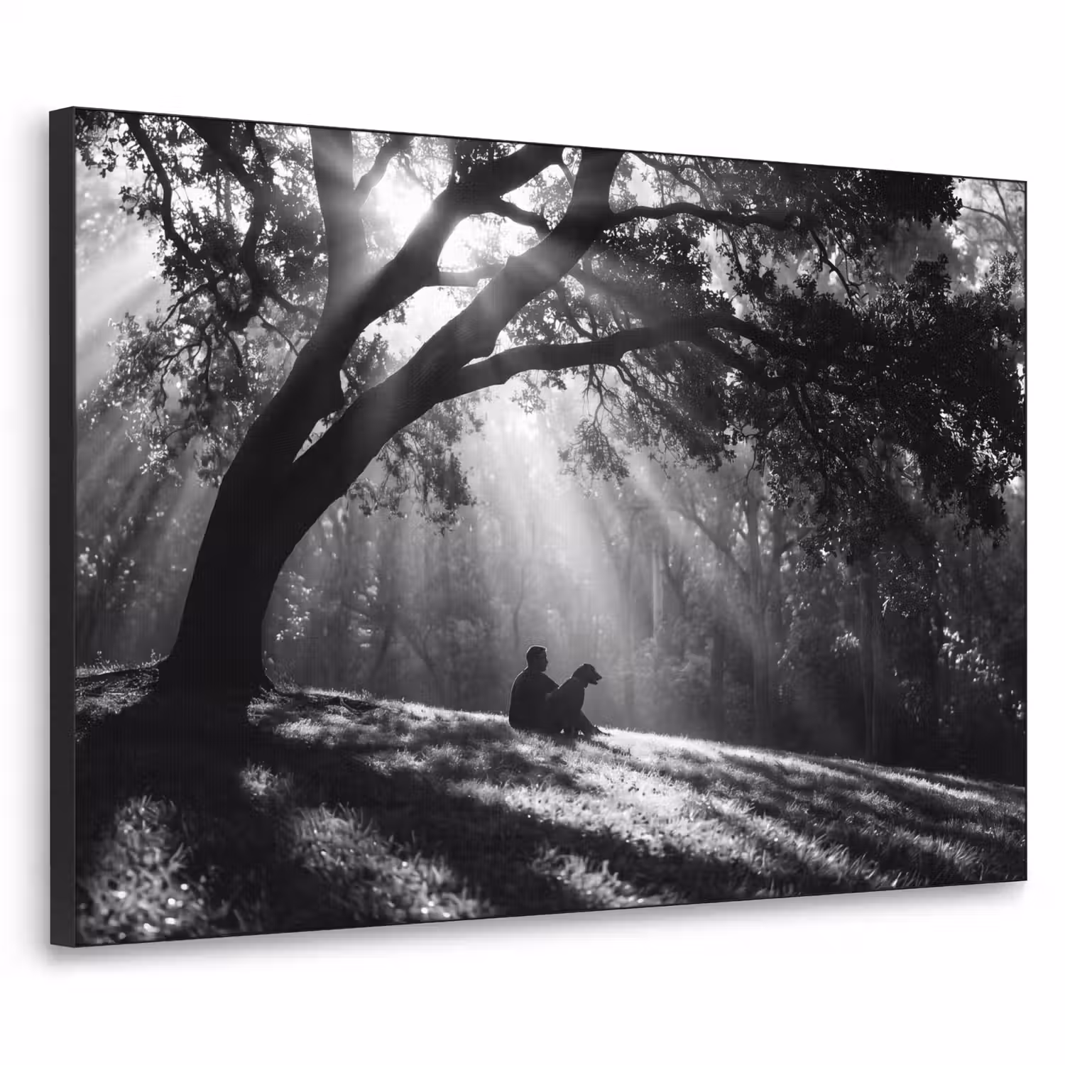 Mens - Hond - Natuur - Zwart-wit - Silhouet Textielframe zwart klein -3d