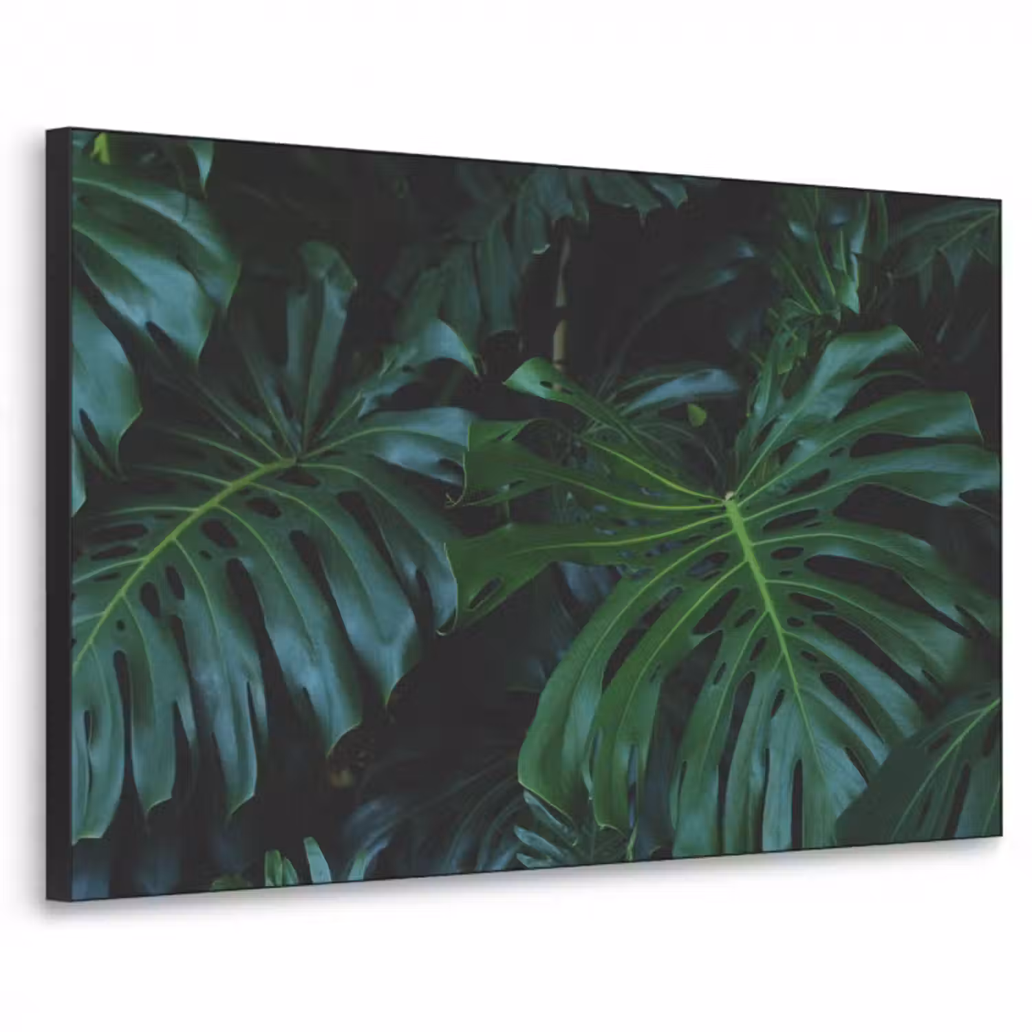 tropical-inductiebeschermer-cm-fbotidpmgqko0jor-textielframe-zwart-middel-3d.jpg