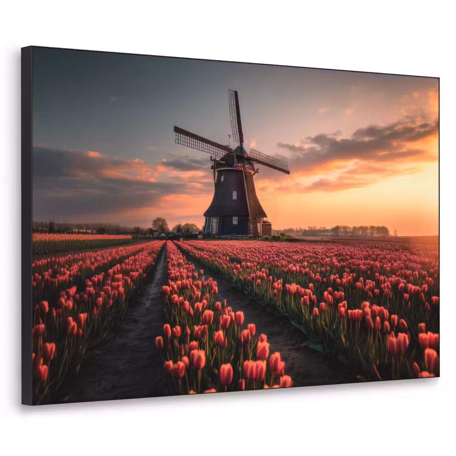 Molen - Zonsondergang - Tulpen - Rood Textielframe - compleet frame klein -3d