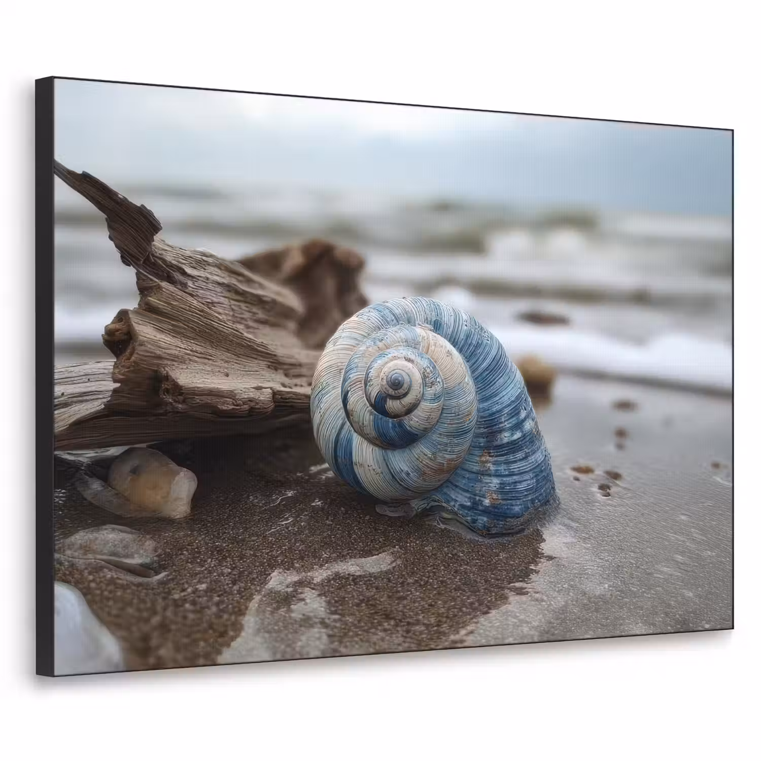 Schelp - Strand - Blauw - Zee Textielframe - compleet frame klein -3d