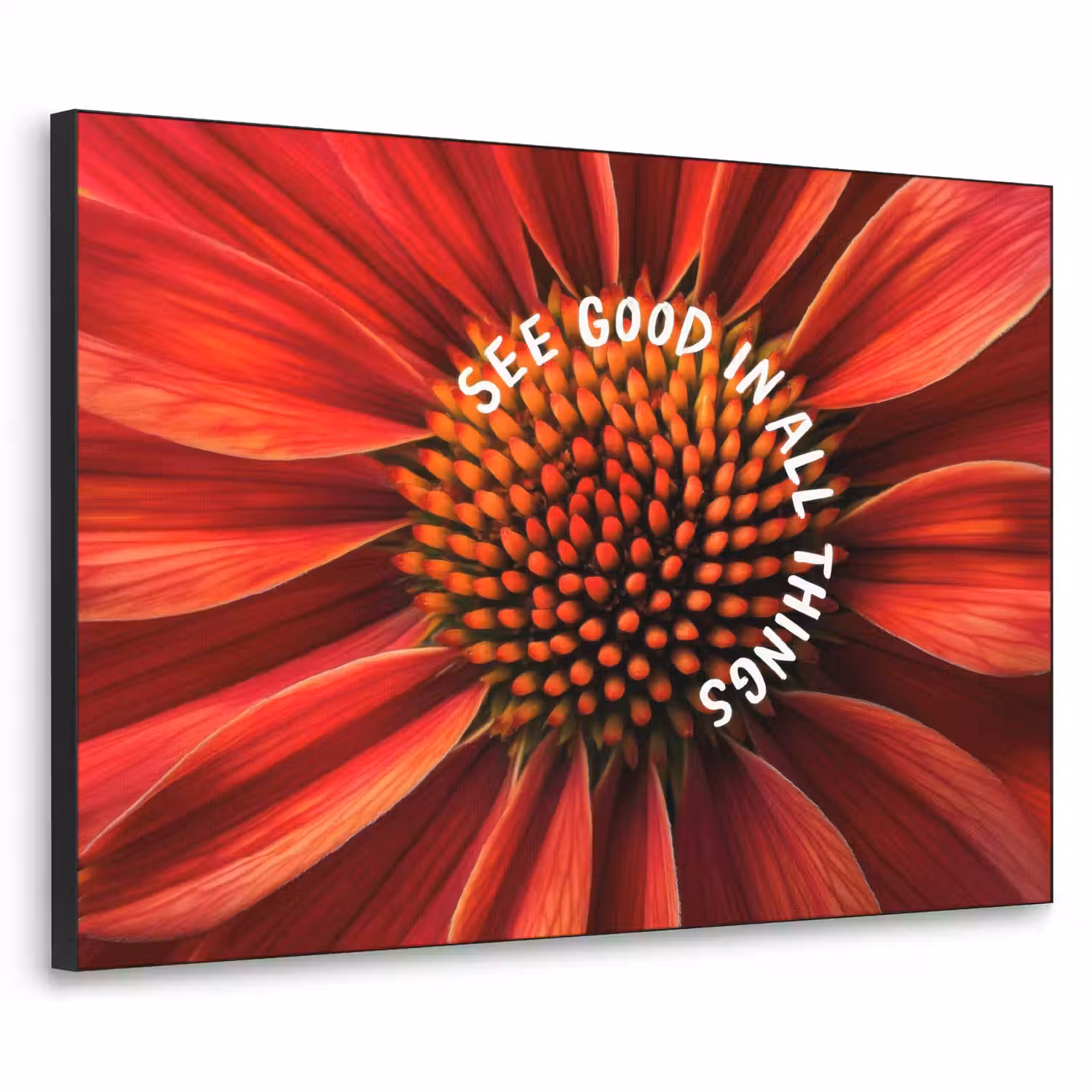 Close up - Bloem - Quote - Rood Textielframe - compleet frame klein -3d