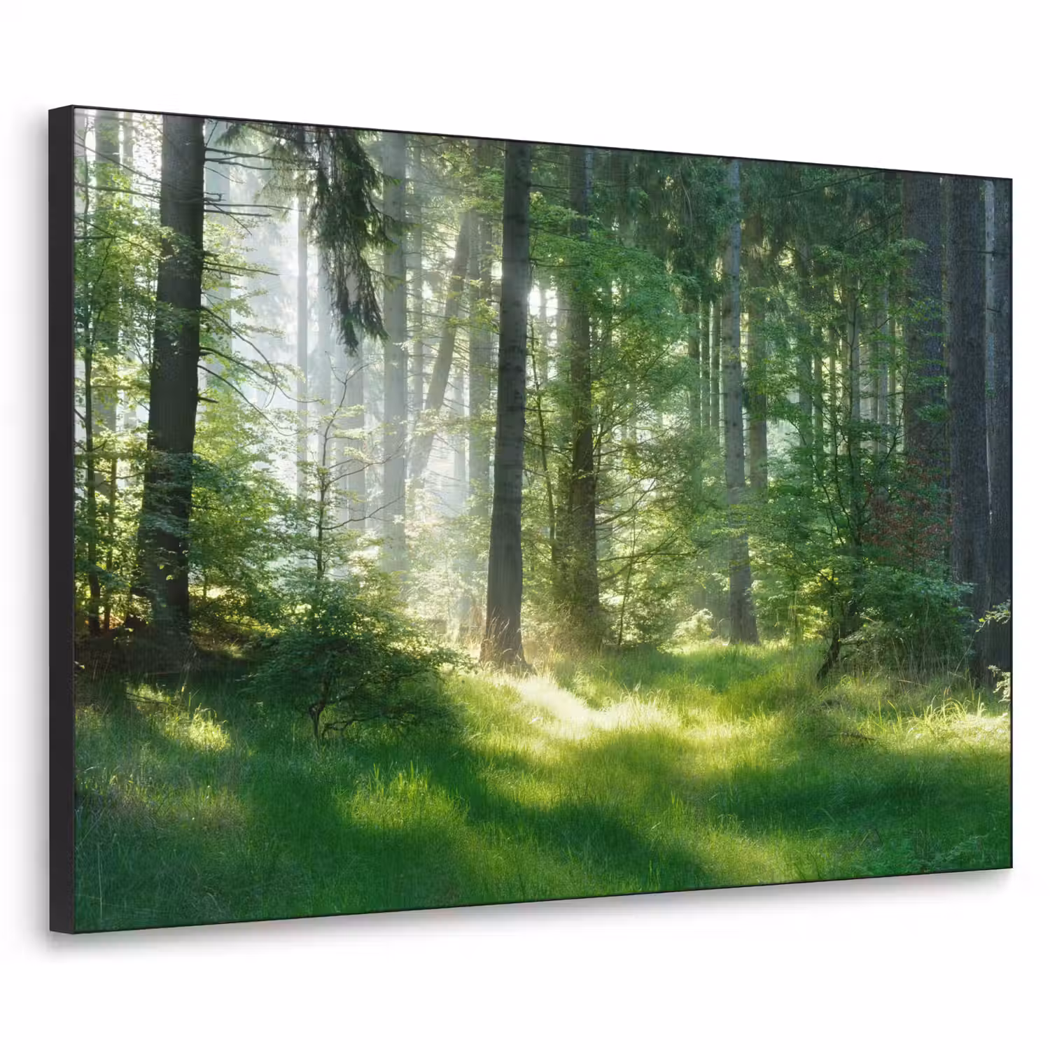 Natuur - Bomen - Bos - Groen - Zon - Gras - Planten Textielframe zwart klein -3d