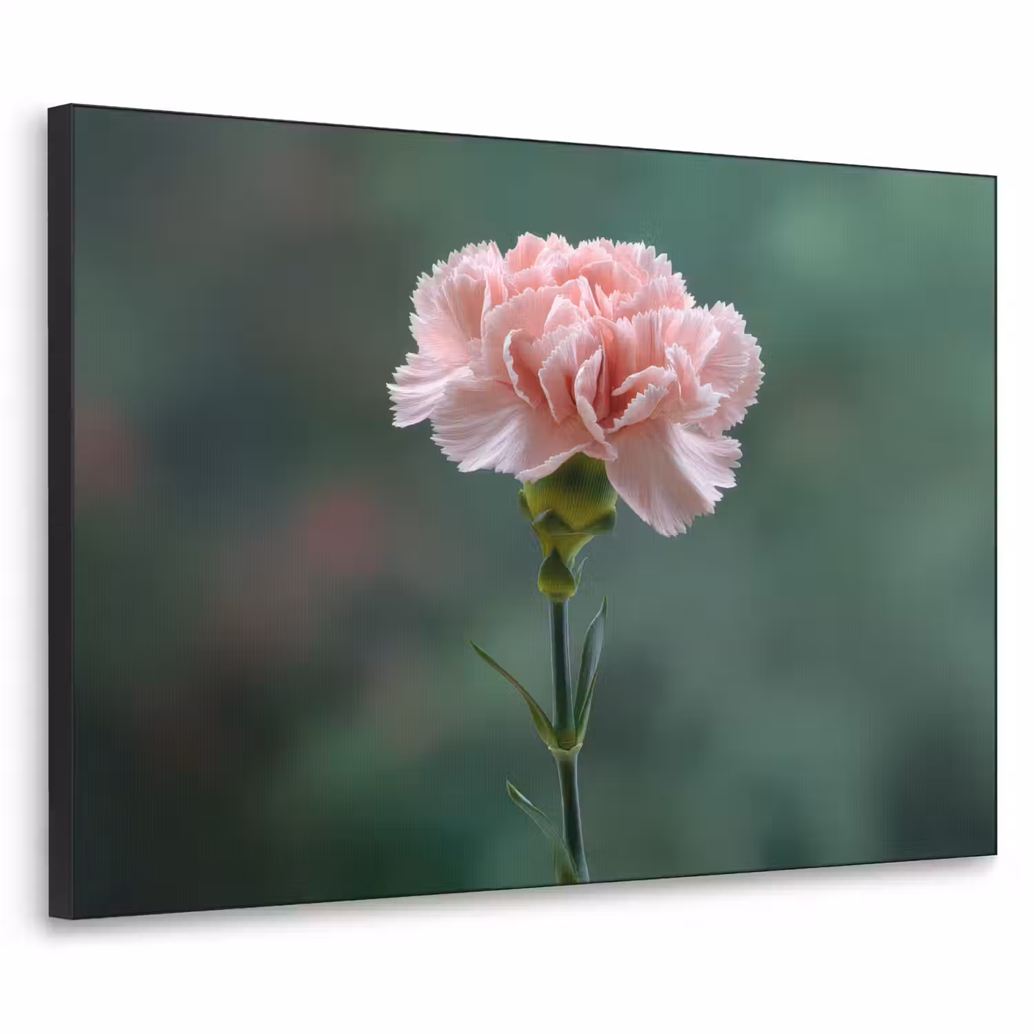 Anjer - Roze - Bloemblaadjes Textielframe - compleet frame klein -3d
