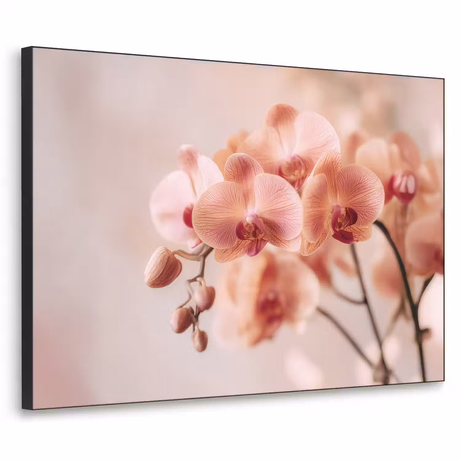 Orchidee - Bloemen - Roze - Bloemblaadjes Textielframe - compleet frame klein -3d
