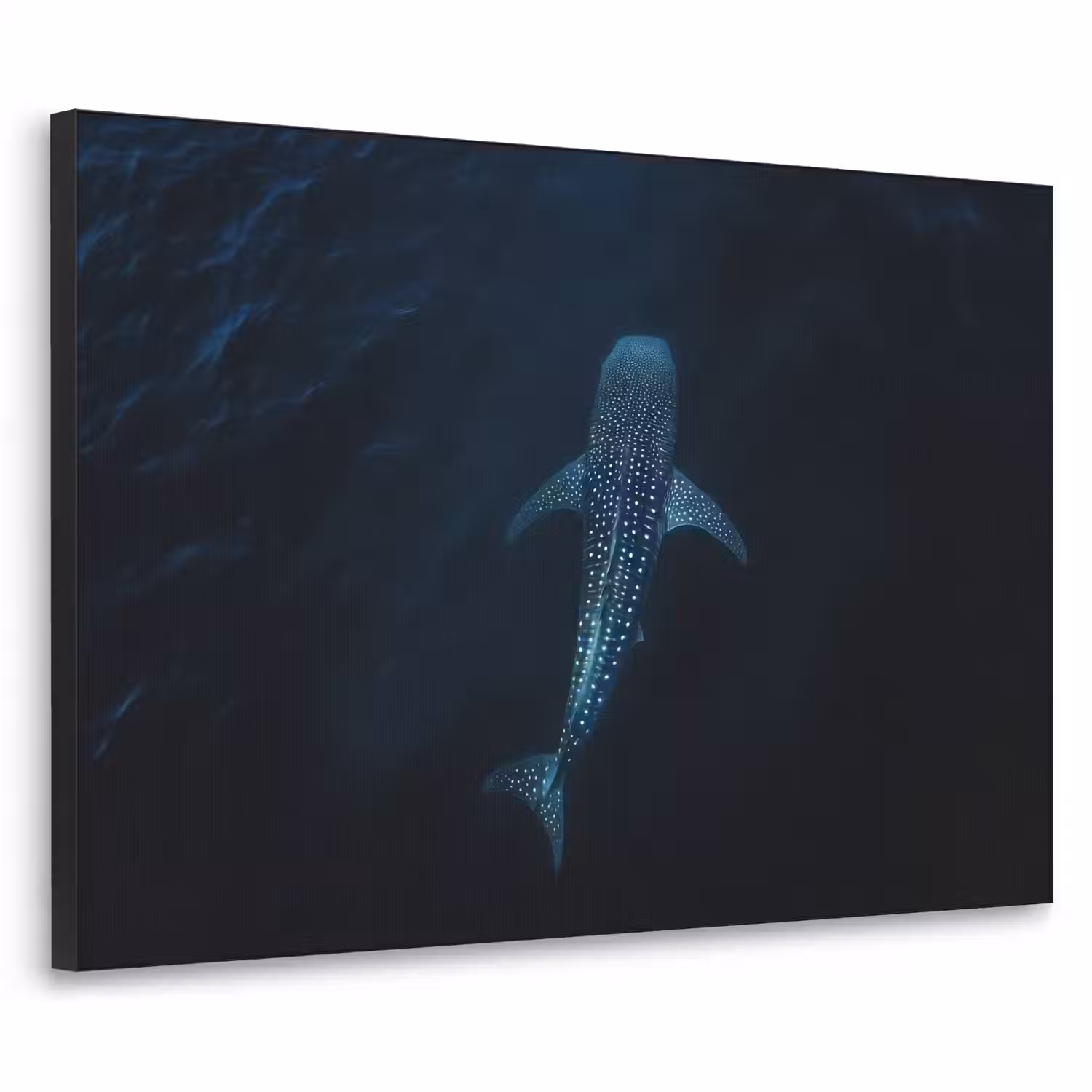 Oceaan - Walvishaai - Donkerblauw - Vlekken Textielframe - compleet frame klein -3d