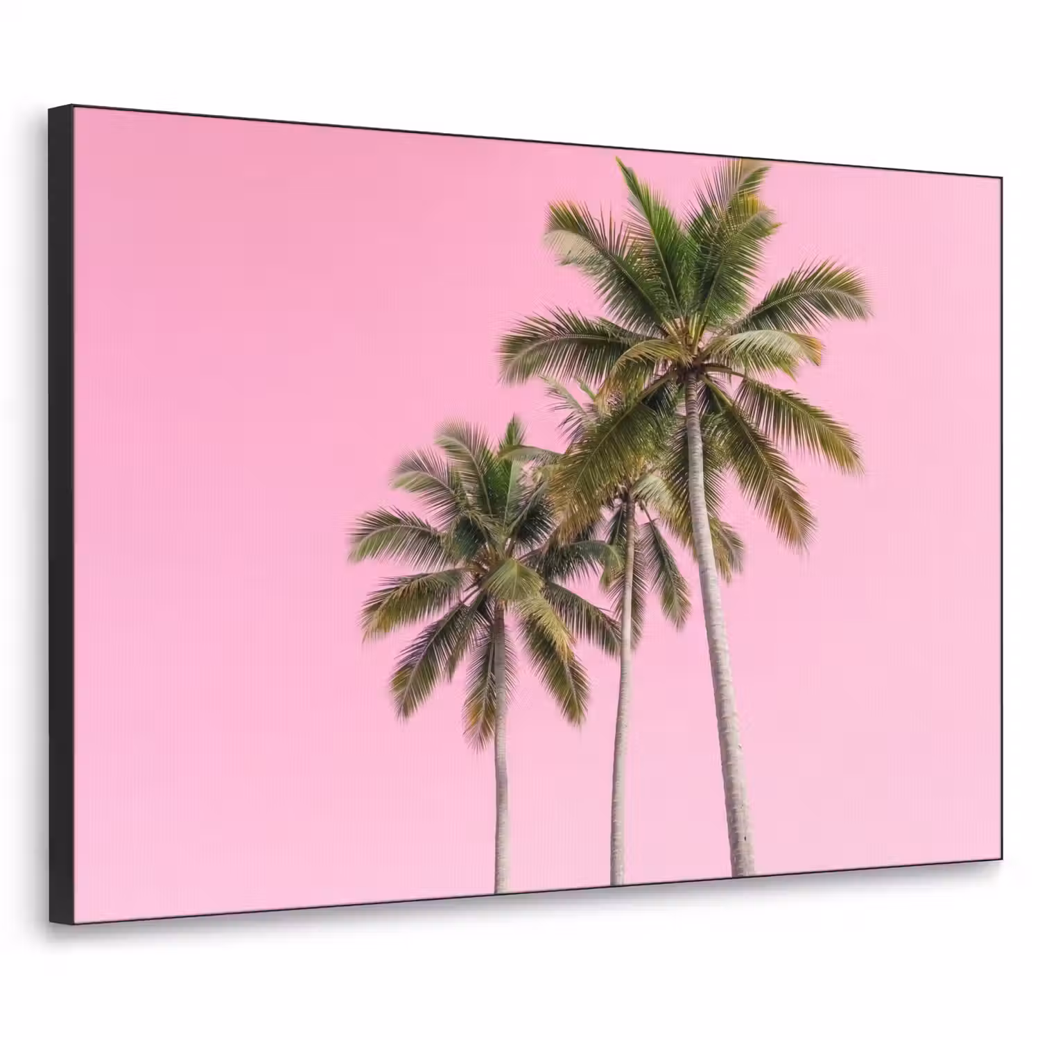 Palmboom - Tropisch - Pink Textielframe zwart klein -3d
