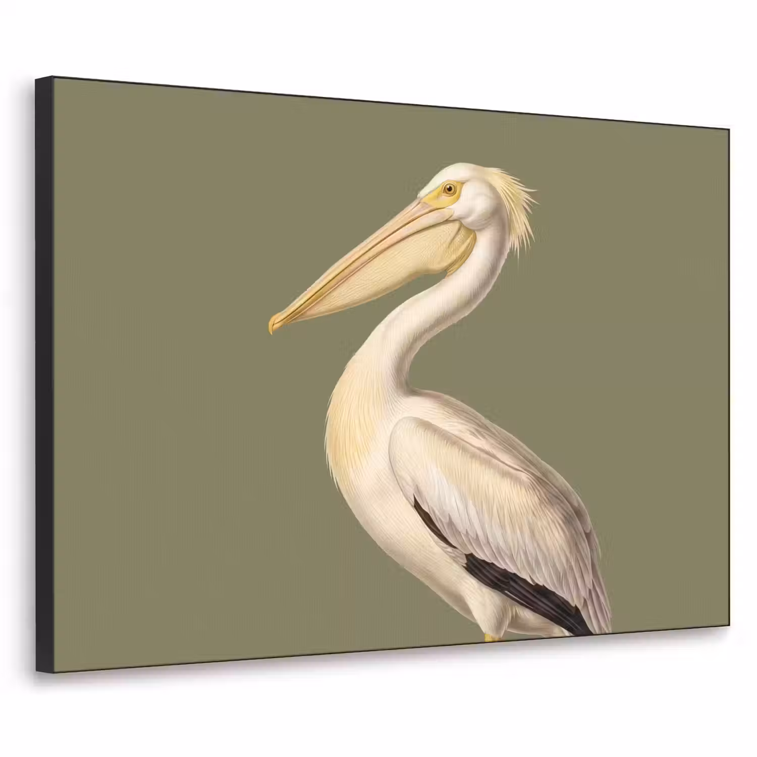 Pelikaan - Wit - Vogel - Klassiek - Natuur Textielframe zwart klein -3d