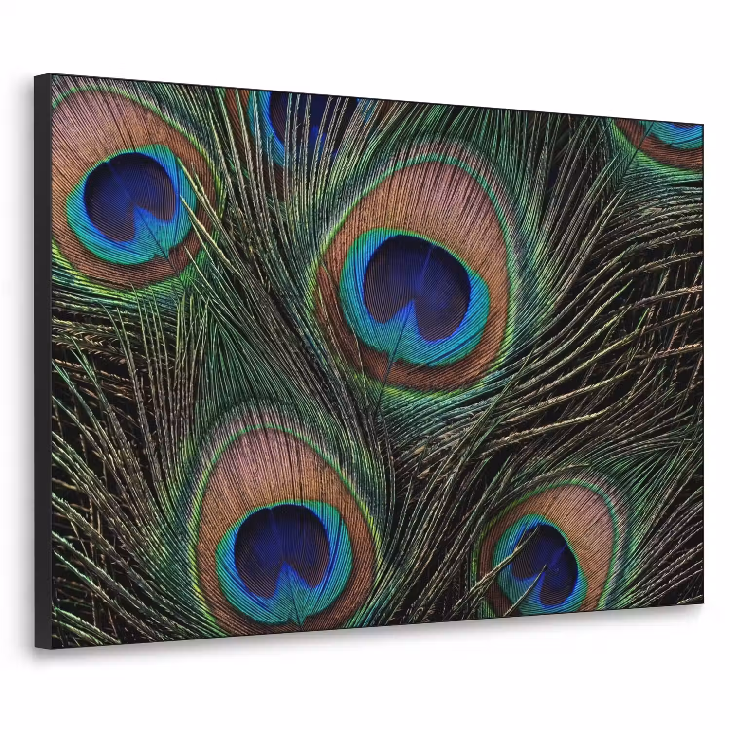 Pauwenveren - Klassiek - Groen Textielframe zwart klein -3d