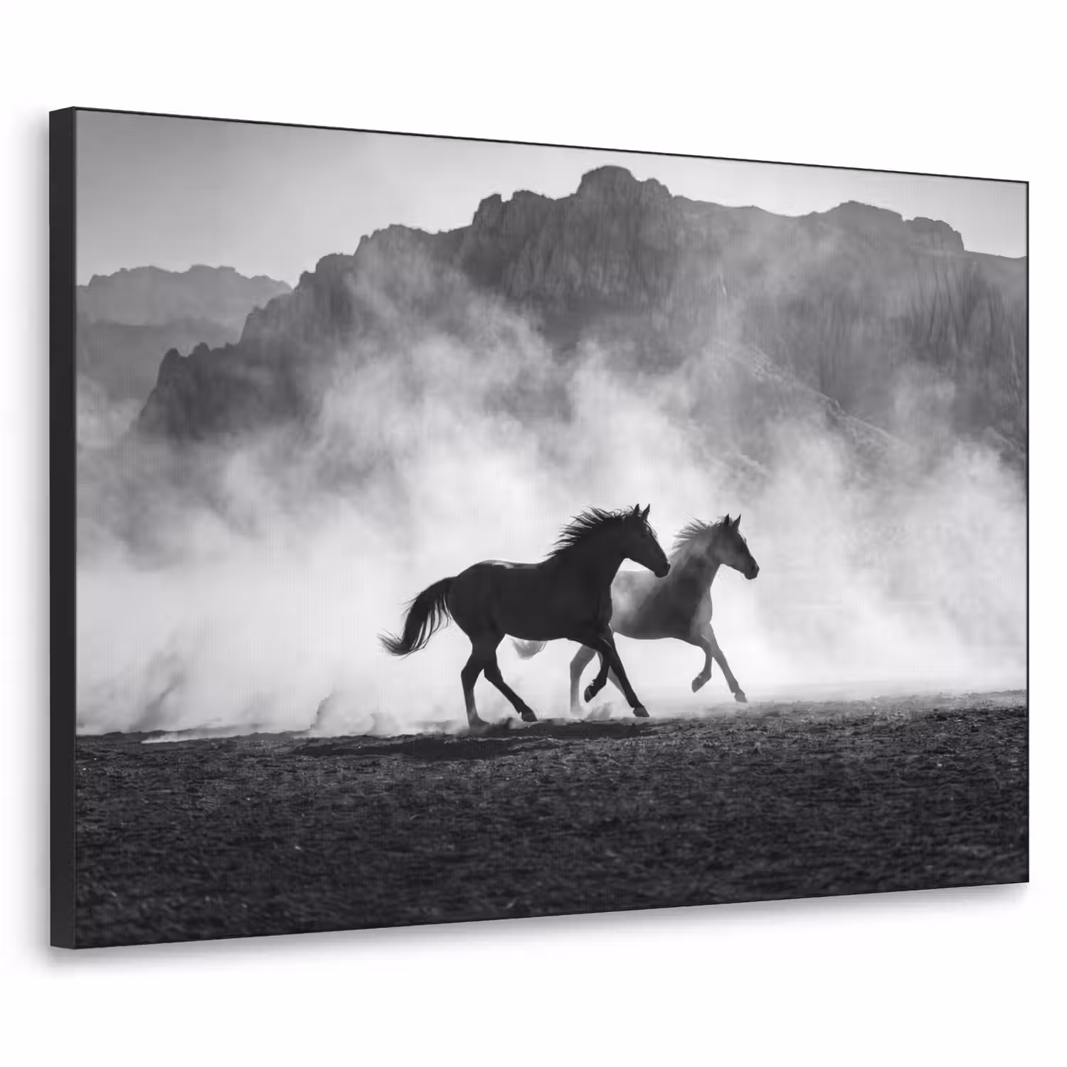 Paard - Ren - Stof - Zwart-wit - Dieren Textielframe zwart klein -3d
