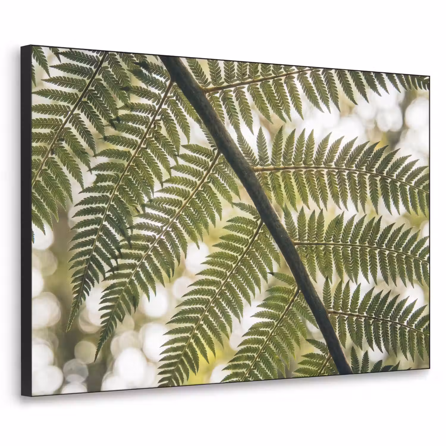 Plant - Blad - Natuur - Groen - Detail Textielframe zwart klein -3d