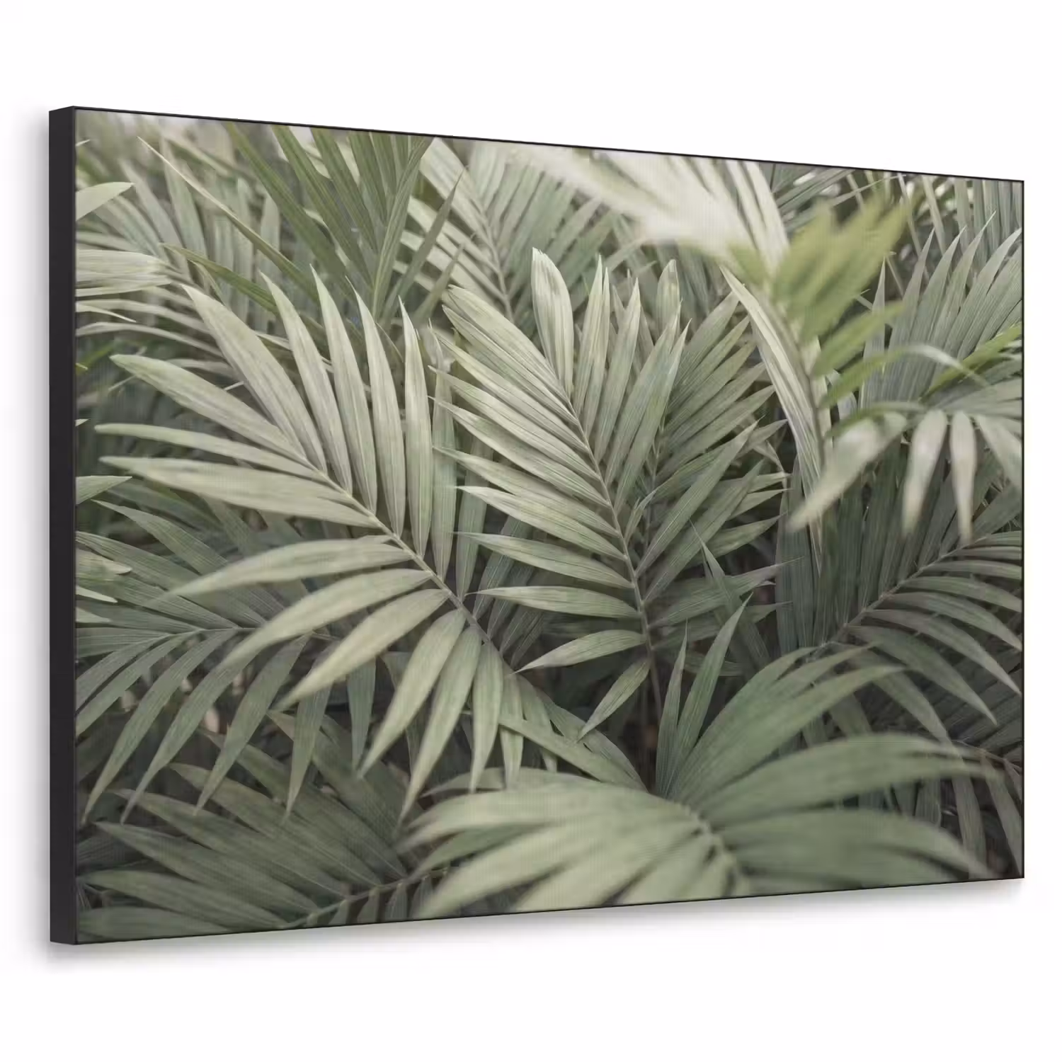 Plant - Palmbladeren - Natuur - Groen Textielframe zwart klein -3d