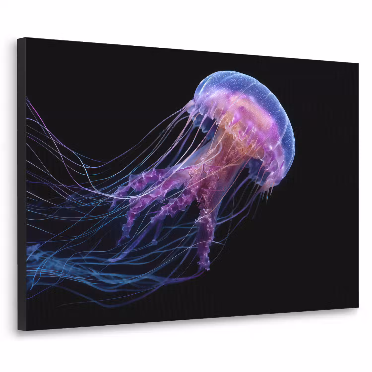 Kwal - Doorzichtig - Roze - Tentakels Textielframe - compleet frame klein -3d