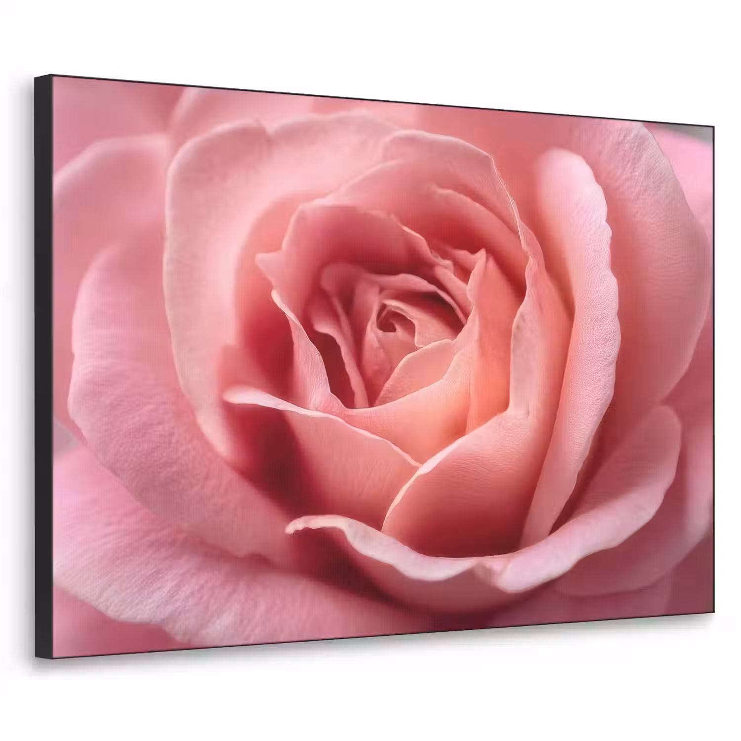 Roze - Roos - Romantisch Textielframe - compleet frame klein -3d