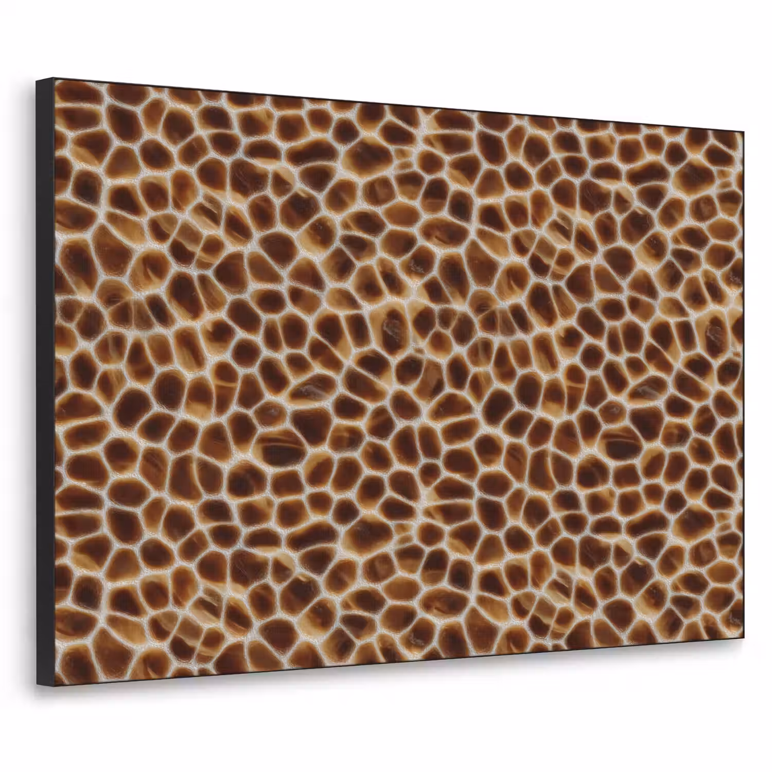Schildpad - Bruin - Patroon Textielframe zwart klein 947 -3d