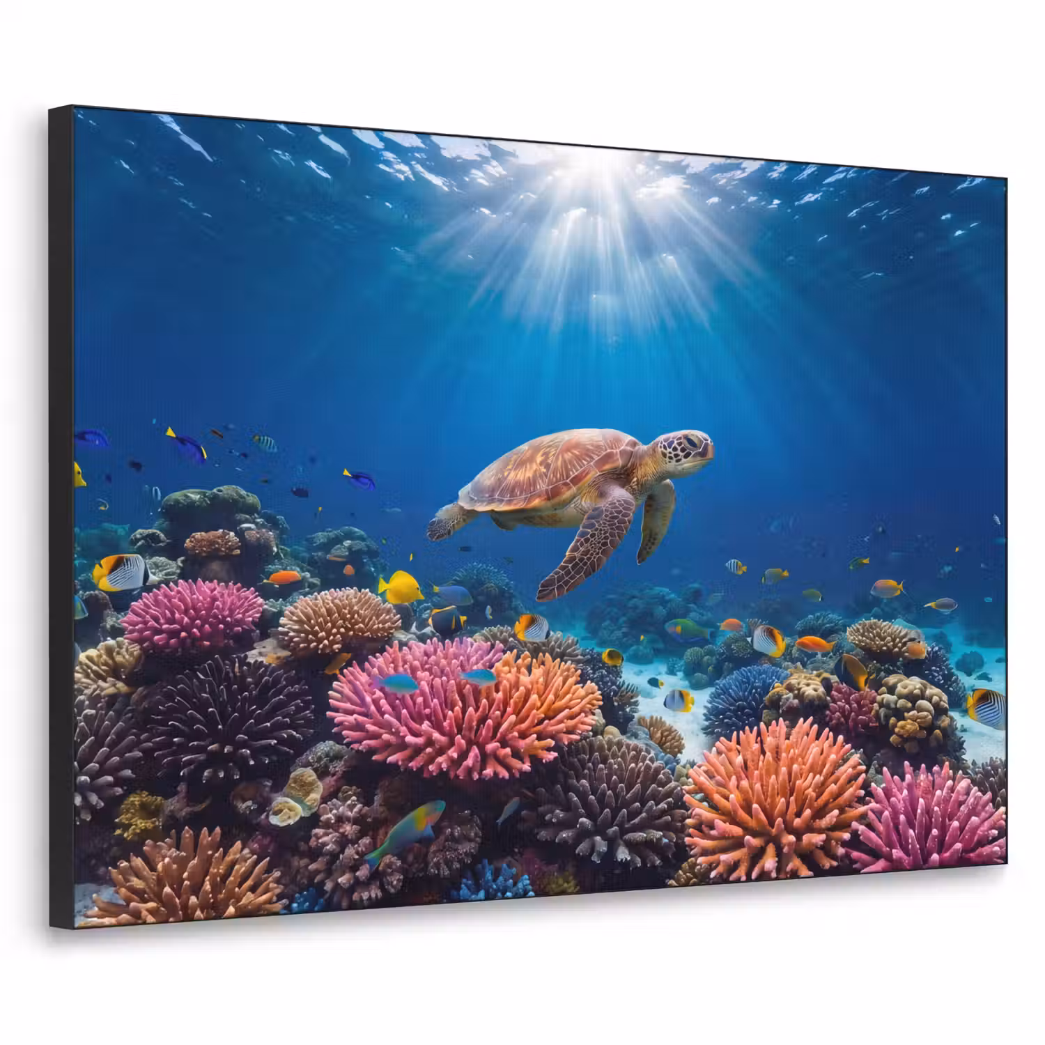 Schildpad - Koraalrif - Oceaan - Dieren - Blauw Textielframe zwart klein -3d