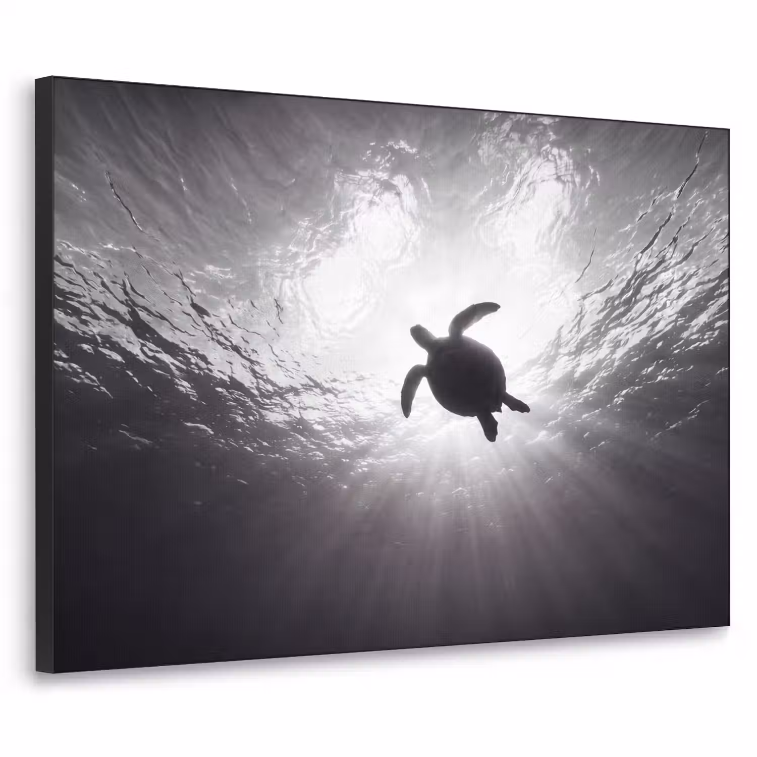 Schildpad - Onderwater - Lichtstralen - Oceaan - Zwart-wit Textielframe zwart klein -3d