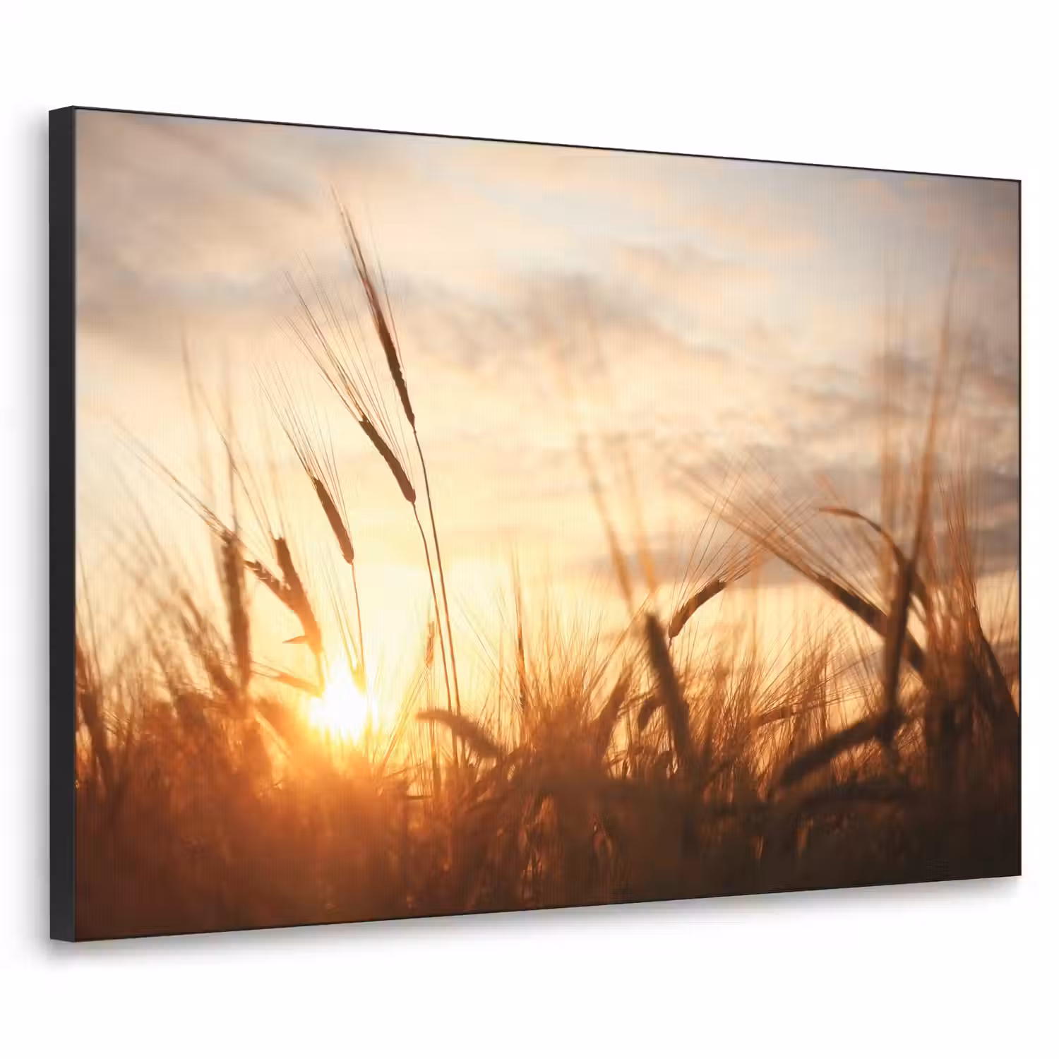 Riet - Gras - Zonsondergang - Natuur - Horizon Textielframe zwart klein -3d