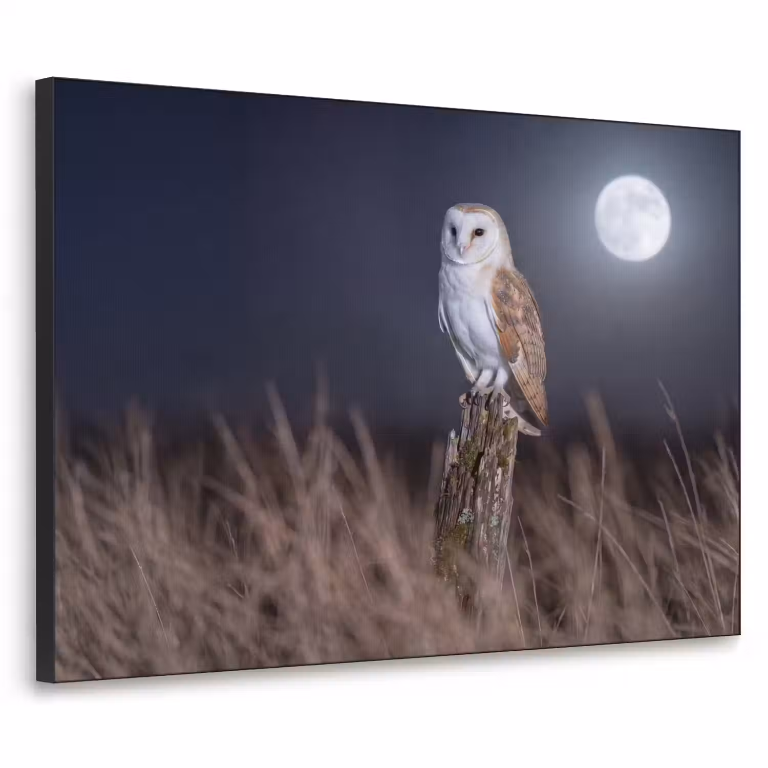 Kerkuil - Maan - Nacht Textielframe zwart klein -3d