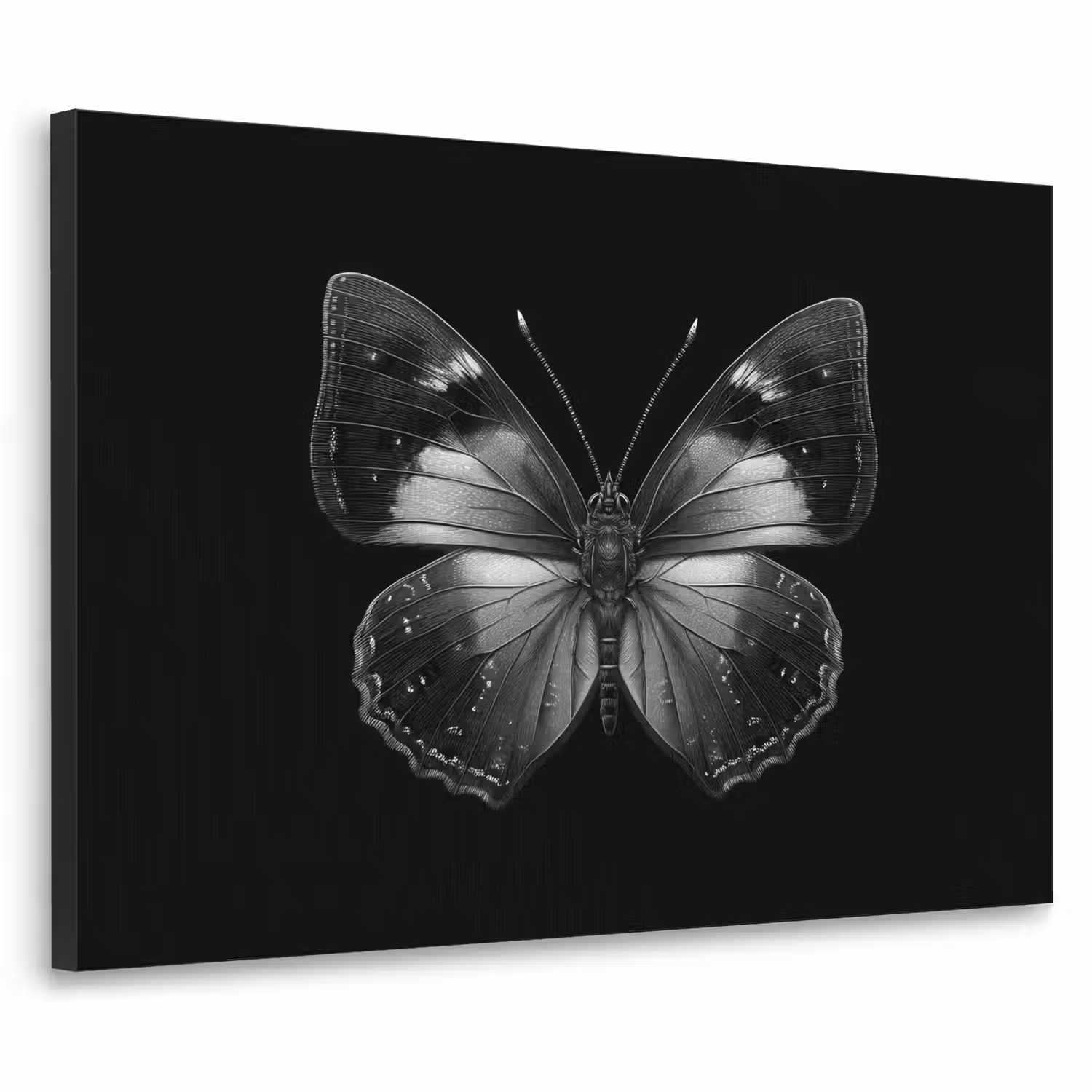 Vlinder - Grijs - Mysterieus Textielframe - compleet frame klein -3d