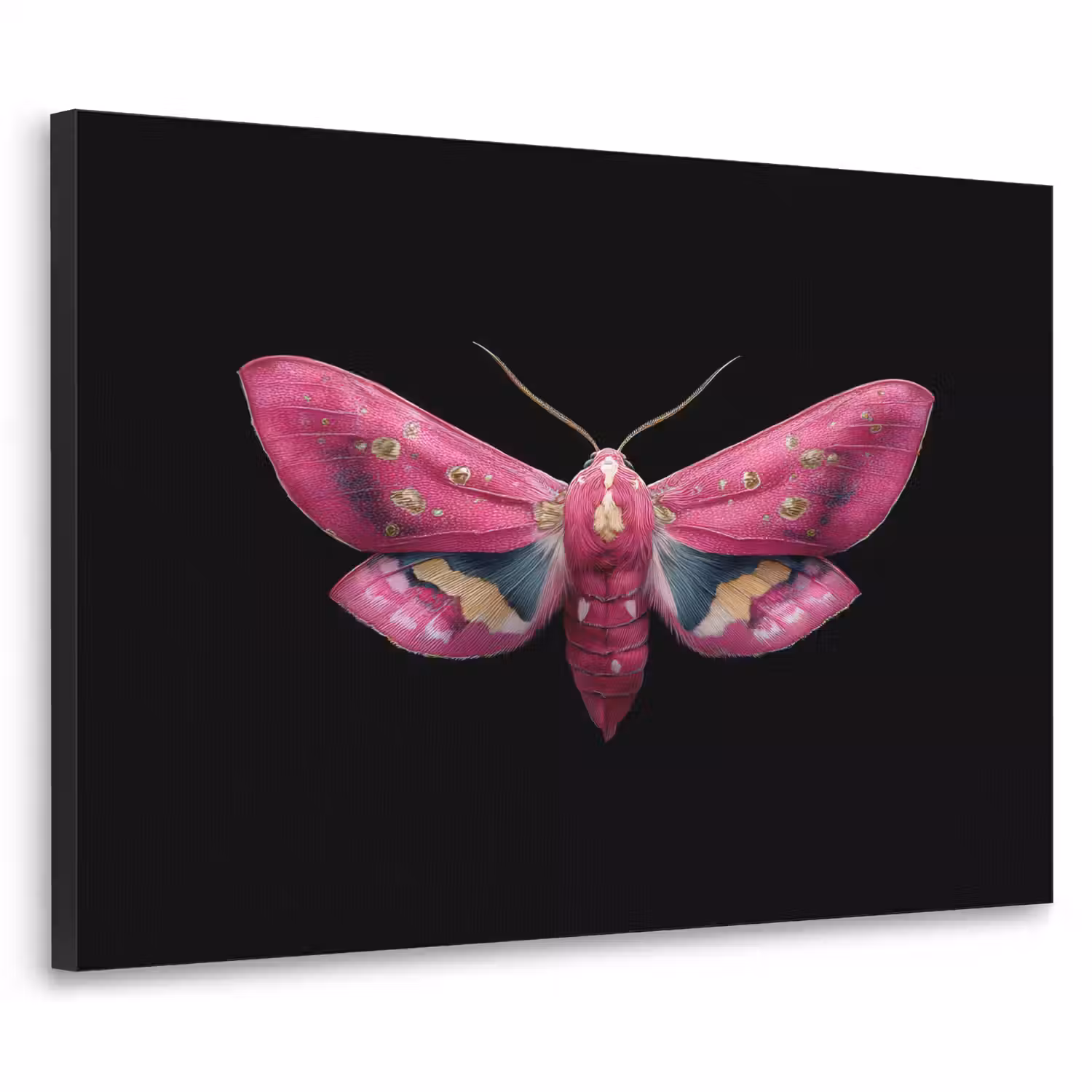 Vlinder - Roze - Nachtvlinder Textielframe - compleet frame klein -3d
