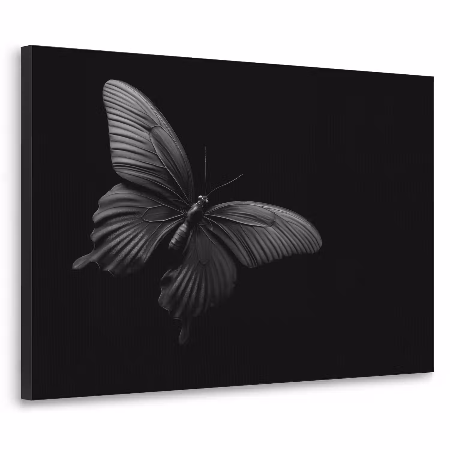 Vlinder - Zwart - Insect - Dieren Textielframe - compleet frame klein -3d