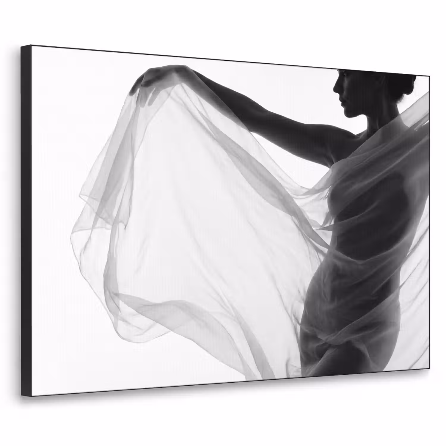 Silhouet - Sluier - Vormen - Zwart - Wit - Sensueel Textielframe zwart klein -3d