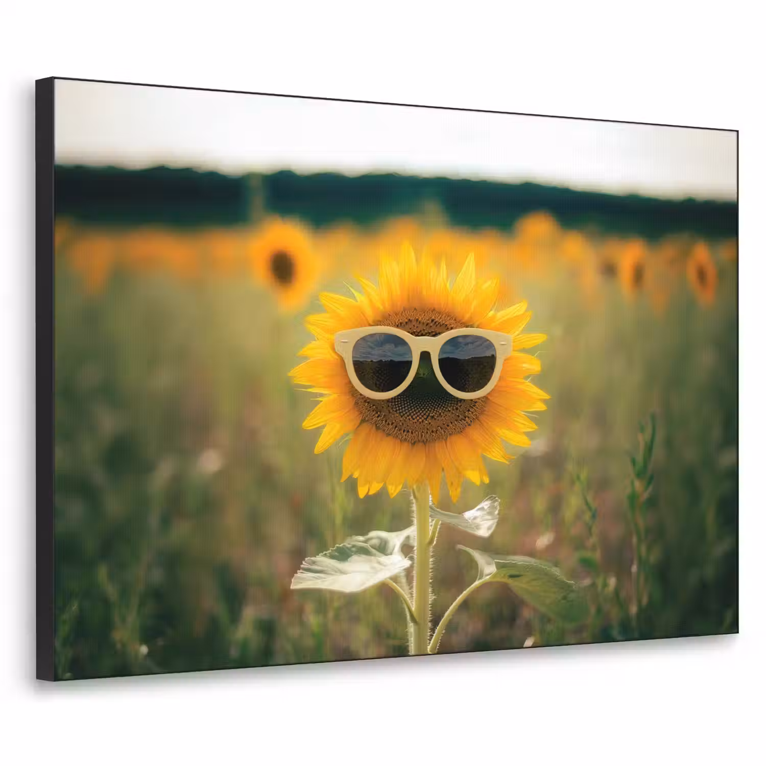Zonnebloem - Veld - Zonnebril Textielframe - compleet frame klein -3d