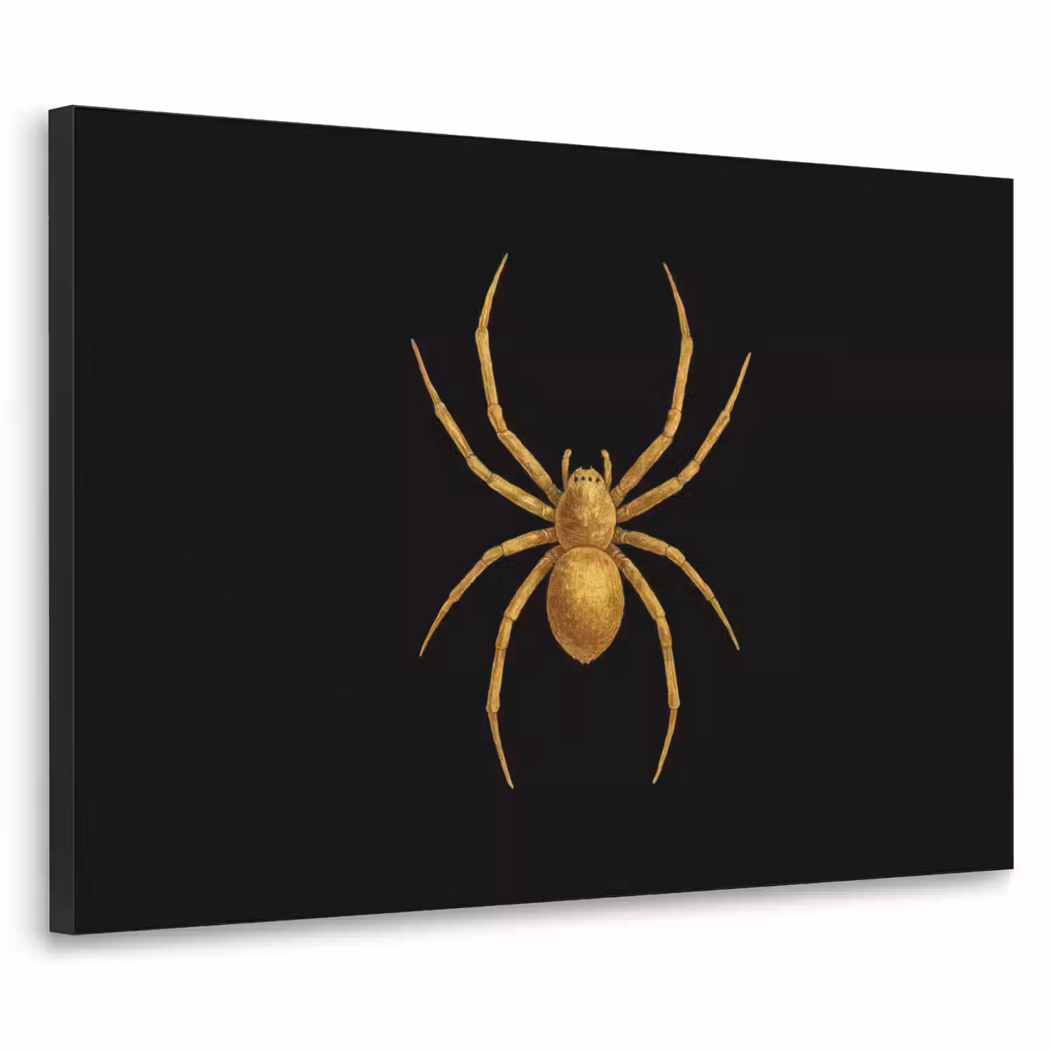 Spin - Goud - Minimalistisch - Poten Textielframe - compleet frame klein -3d