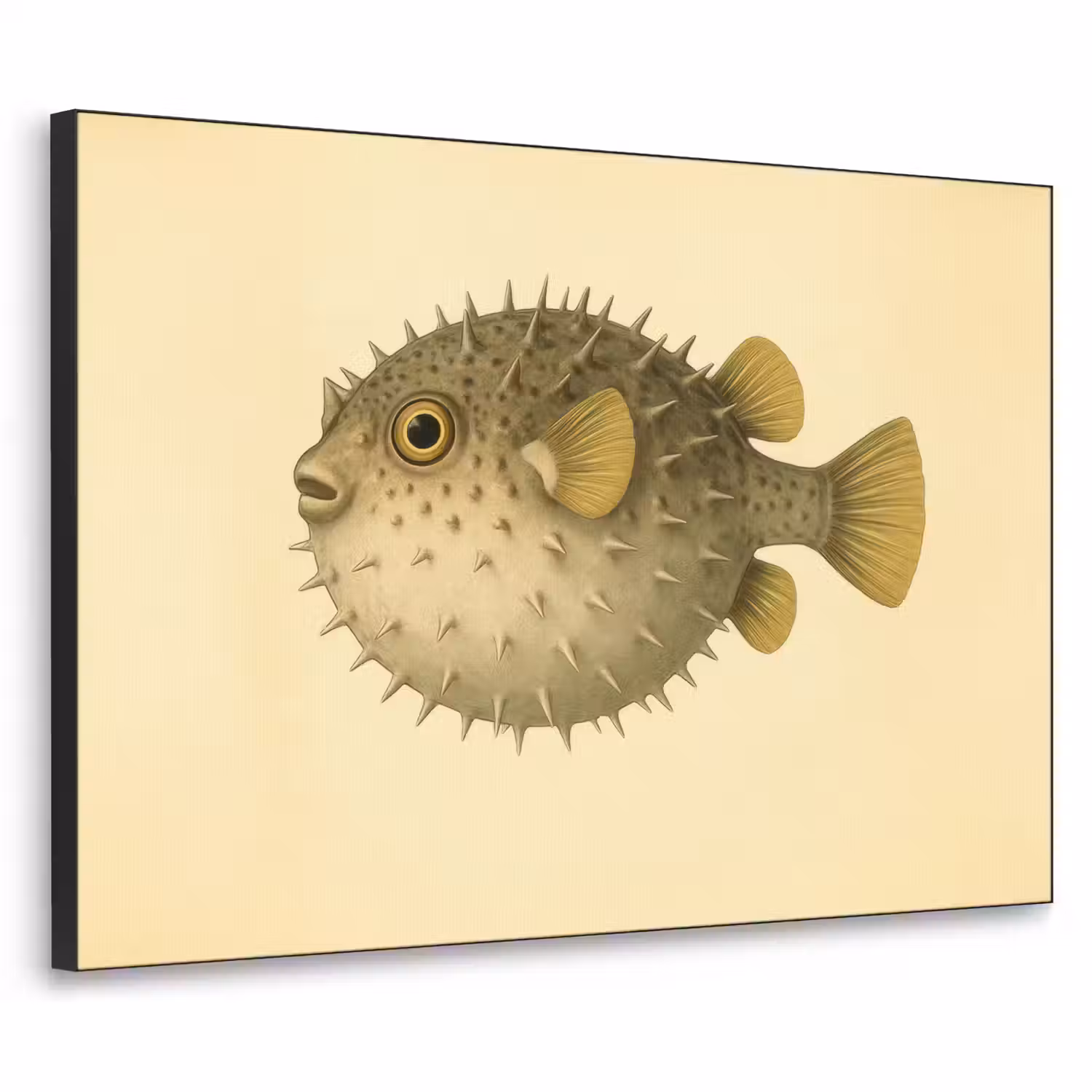 Stekels - Vis - Opgeblazen - Bruin Textielframe - compleet frame klein -3d