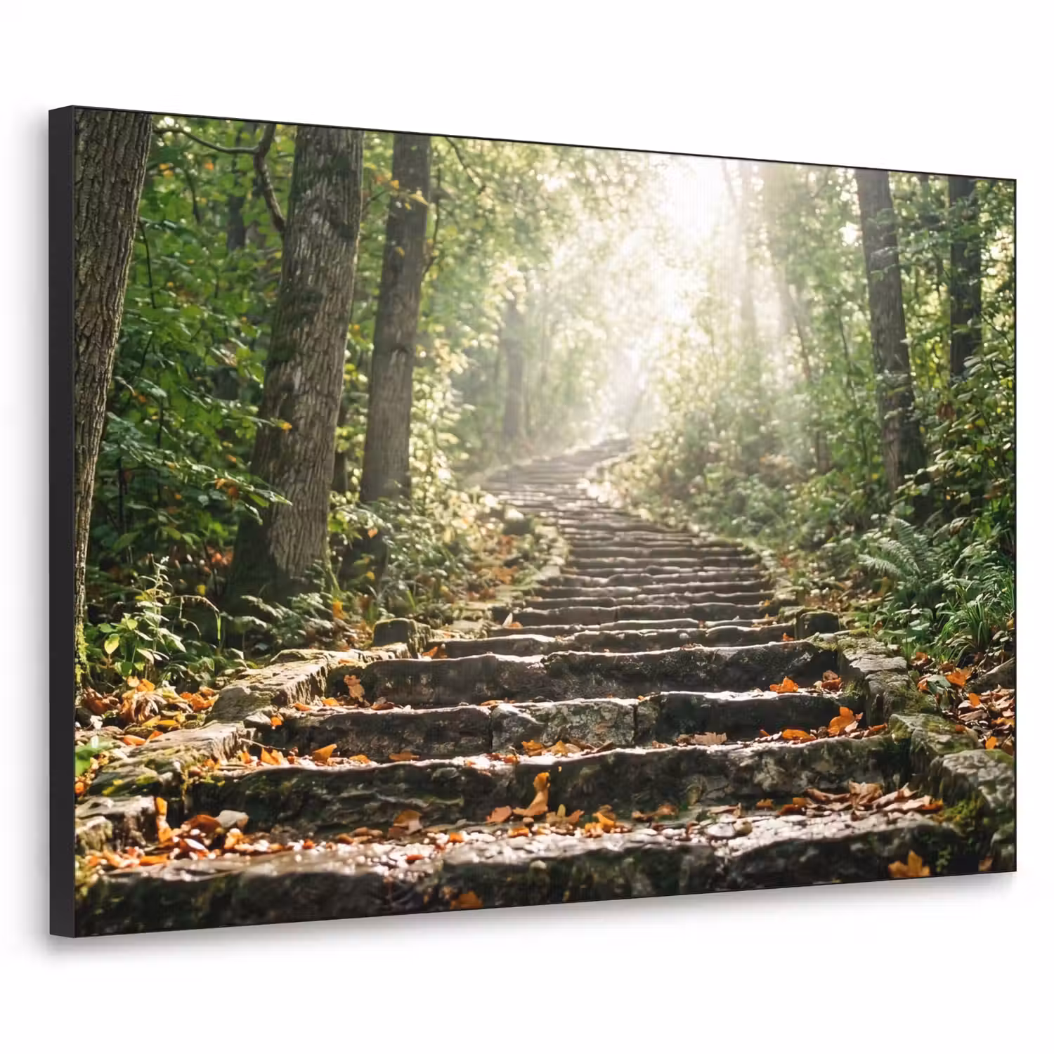 Stenen - Trap - Bos - Natuur Textielframe zwart klein -3d