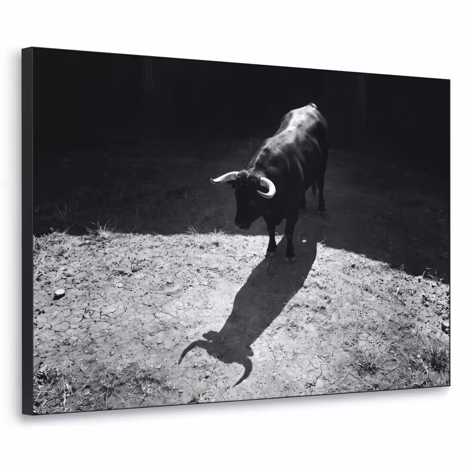 Stier - Schaduw - Dieren - Contrast - Zwart-wit Textielframe zwart klein -3d