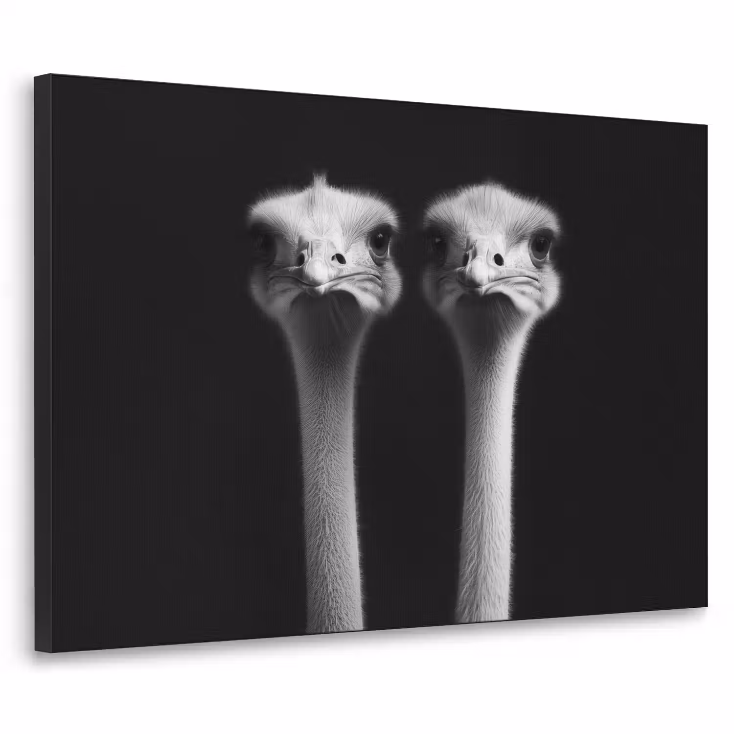 Struisvogels - Halzen - Zwart - Minimalistisch Textielframe - compleet frame klein -3d
