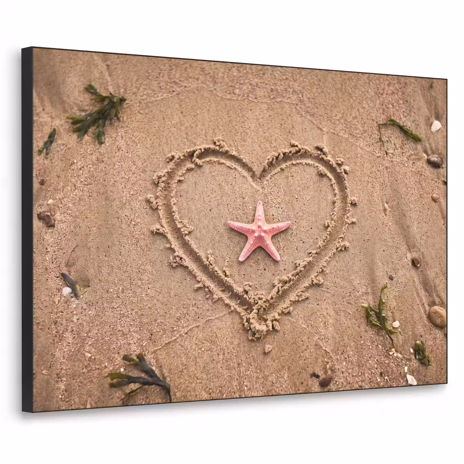 Dieren - Hart - Strand - Zand - Roze Textielframe zwart klein -3d