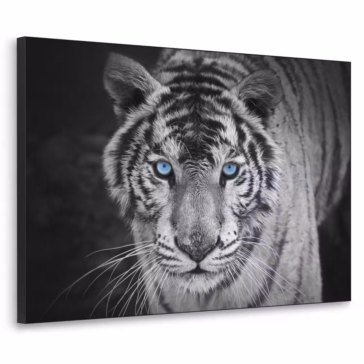 Tijger - Dier - Zwart - Blauw - Modern Textielframe zwart klein -3d