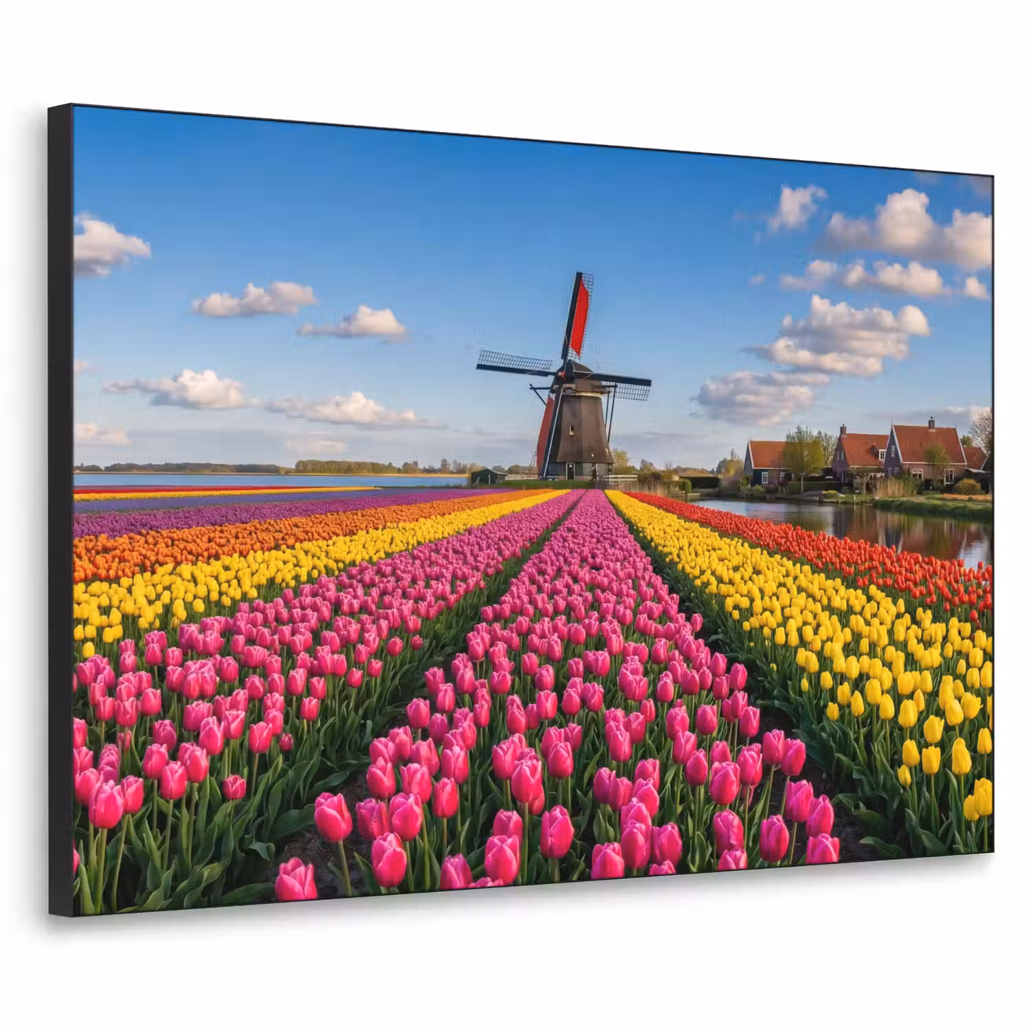 Tulpen - Holland - Molen - Kleurrijk Textielframe zwart klein -3d