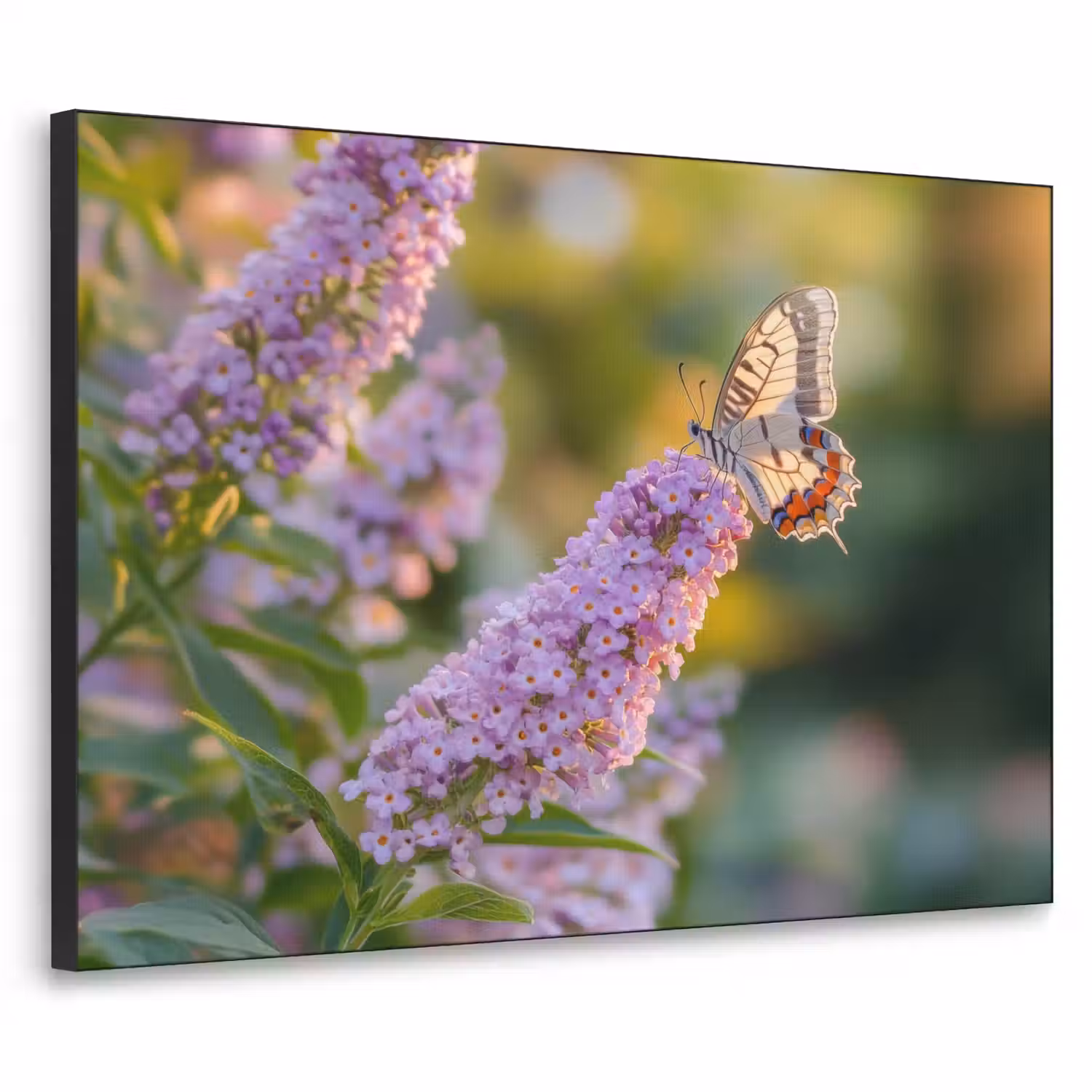 Sierlijke - Vlinder - Paarse - Bloemen Textielframe - compleet frame klein -3d