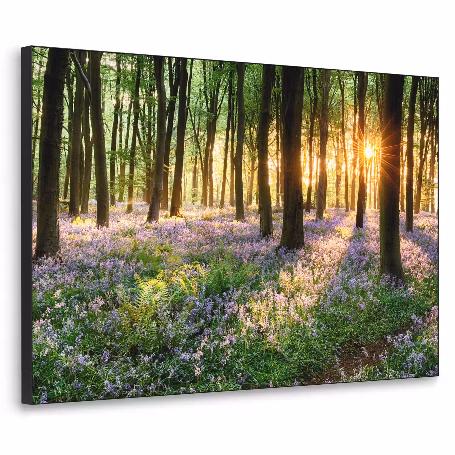 Bos - Bloemen - Lavendel - Zon - Paars - Natuur Textielframe zwart klein -3d
