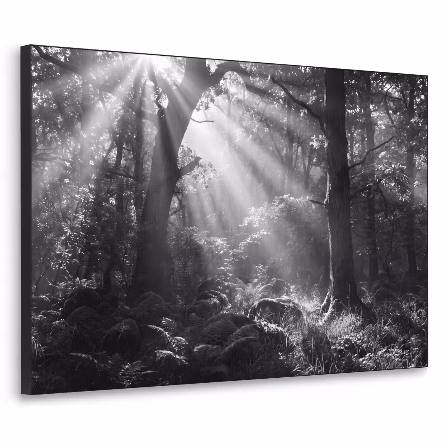 Bos - Lichtstralen - Natuur - Zwart-wit Textielframe zwart klein -3d