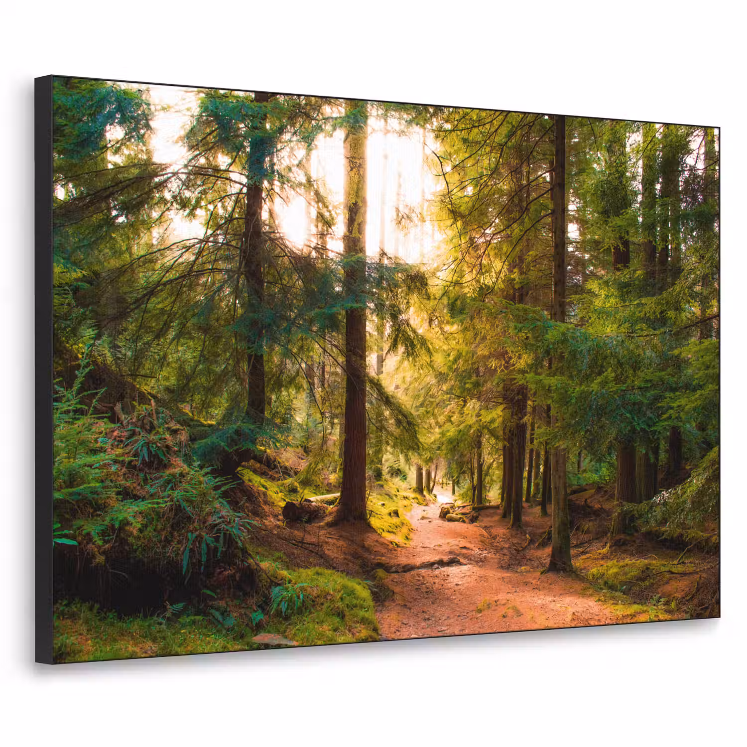 Bos - Pad - Bomen - Groen - Zon - Natuur Textielframe zwart klein -3d