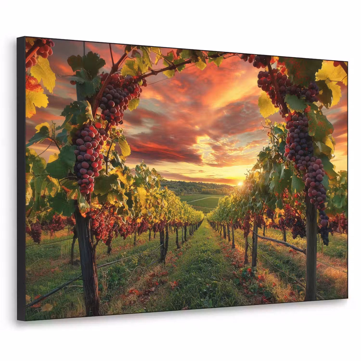 Wijngaard - Druiven - Zonsondergang Textielframe - compleet frame klein -3d